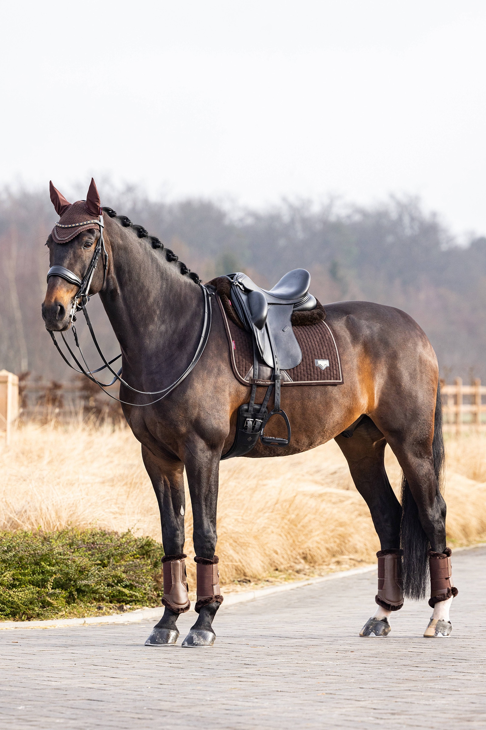 LeMieux Puissance dressursjabrak i imitert semsket materiale