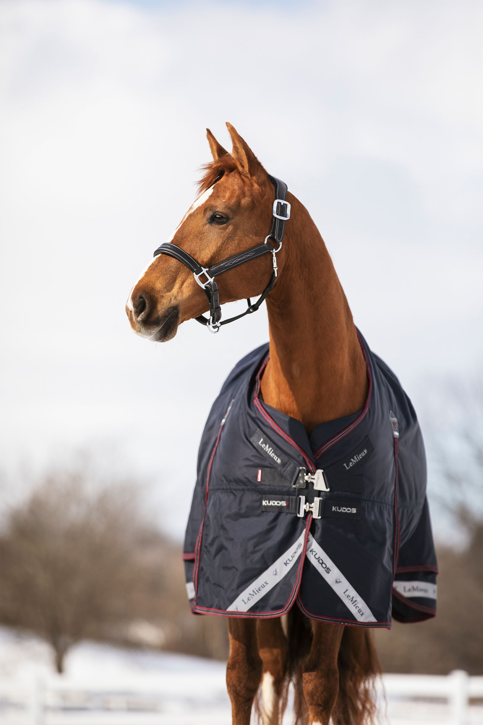 LeMieux Kudos utedekken 350g