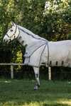 Horseware Rambo Optimo Protector Plus dekken