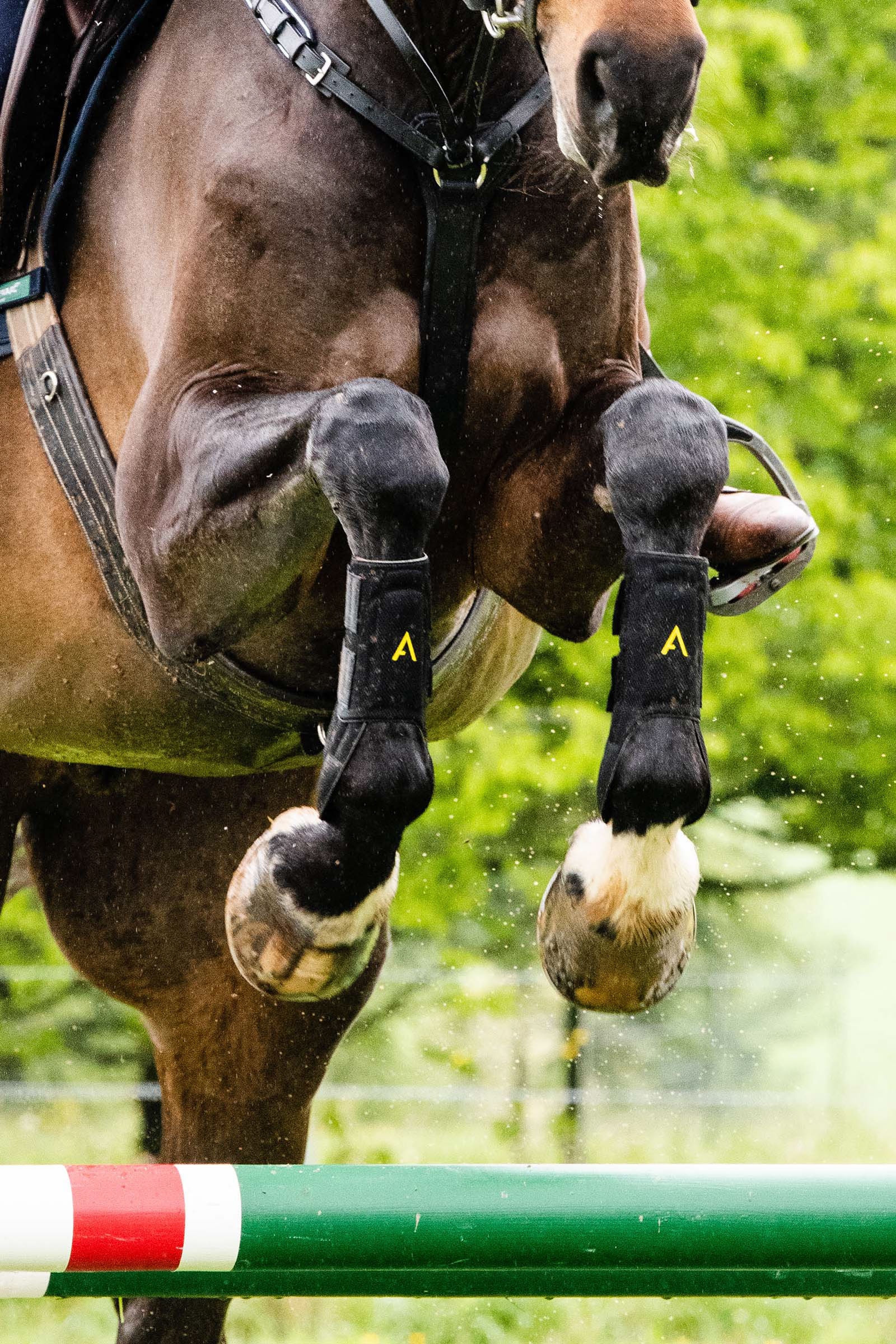 Horseware Adagio belegg