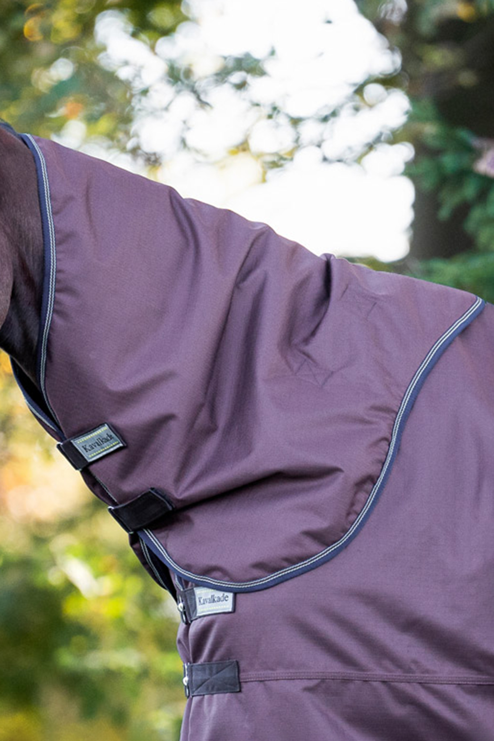 Brown Kavalkade hals til Montreal utedekken, 100 gram