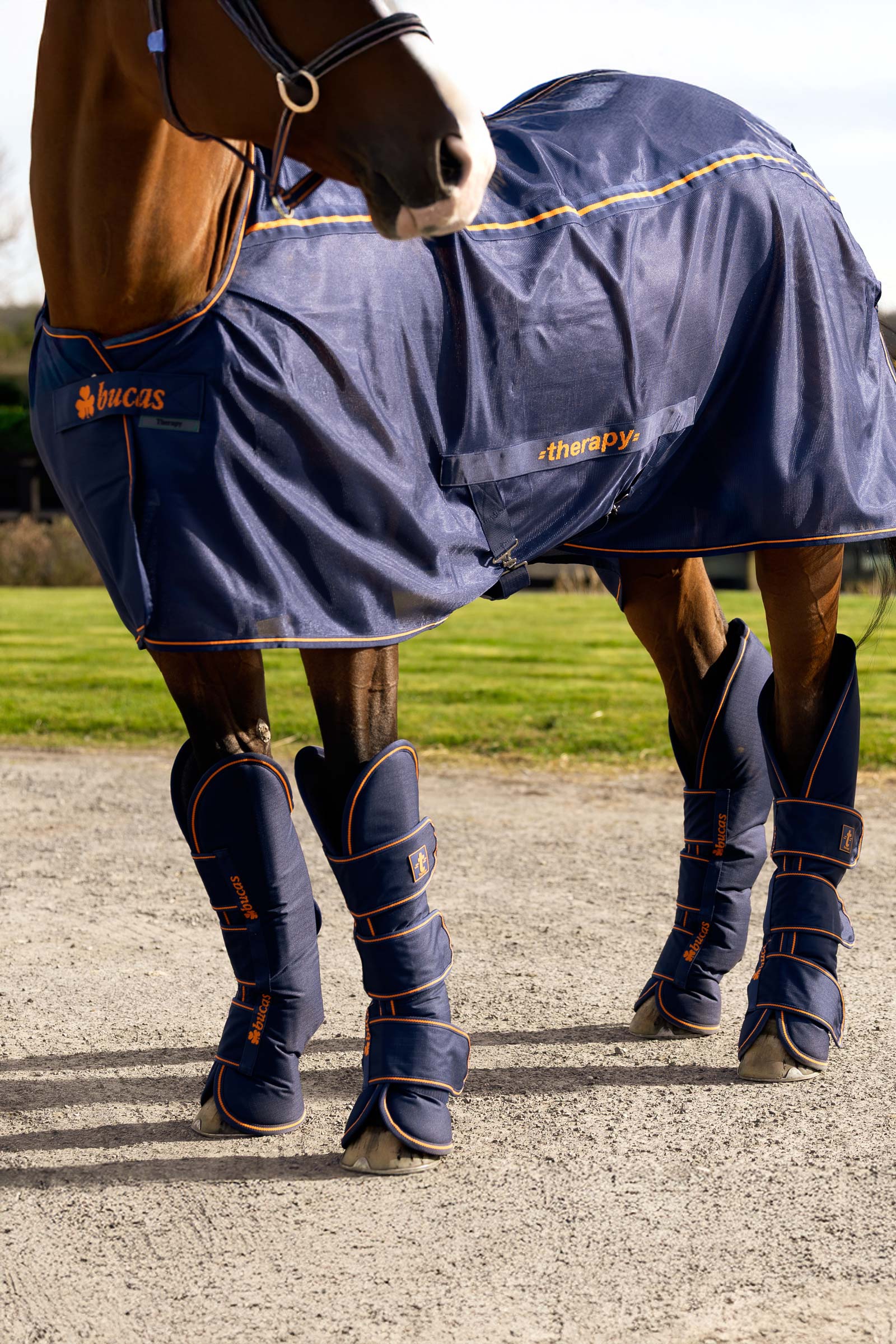 Bucas Terapibelegg for transport (sett med 4)