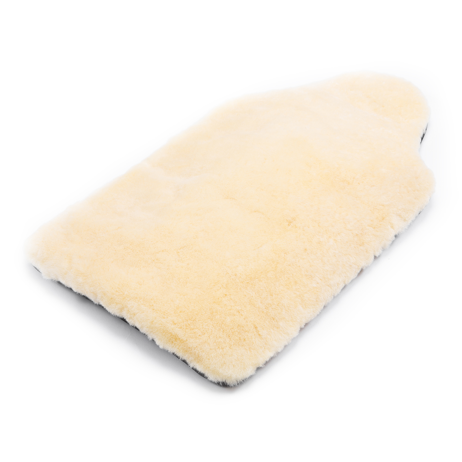 Christ Halebeskytter