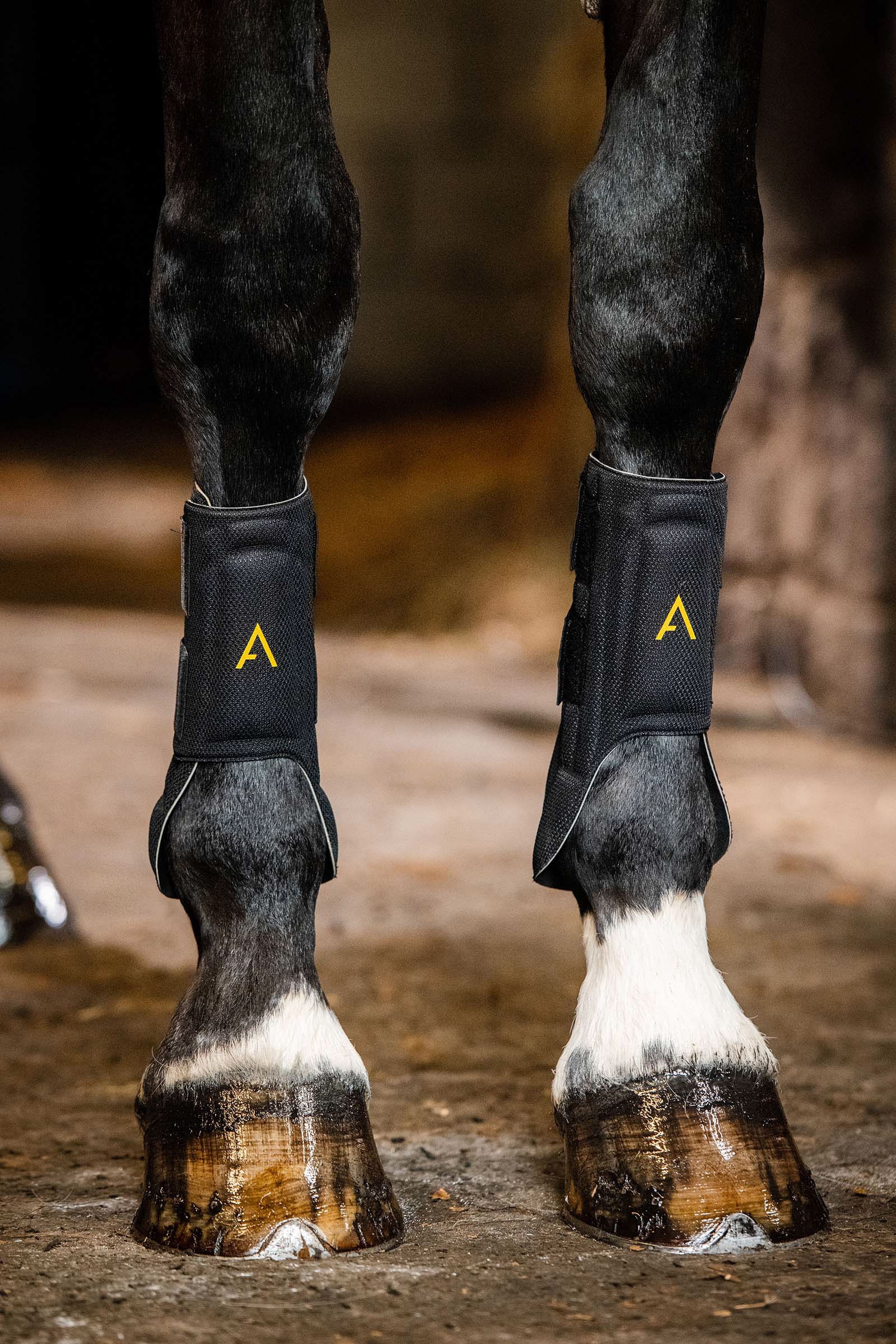 Horseware Adagio belegg