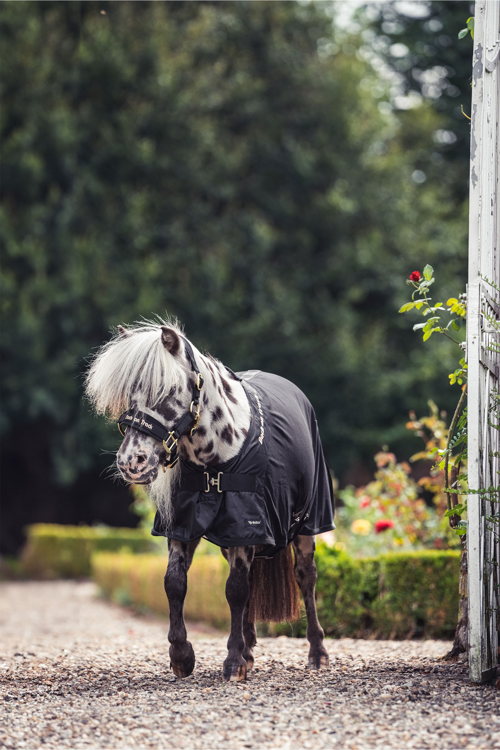 Back on Track Royal Ponni Mesh Teppe Deluxe