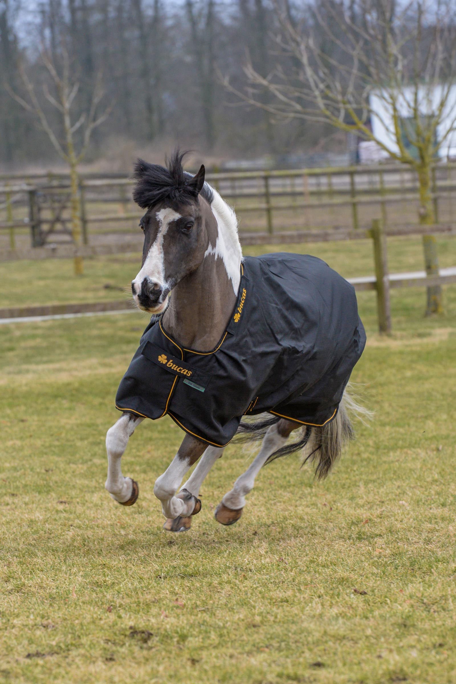 Bucas Irish utedekken, 150g