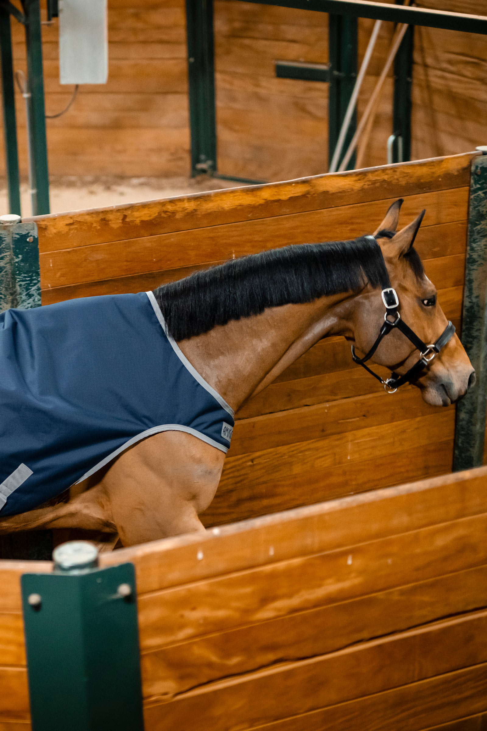 Horseware Amigo Ripstop 900D Walker-dekken, 100 g