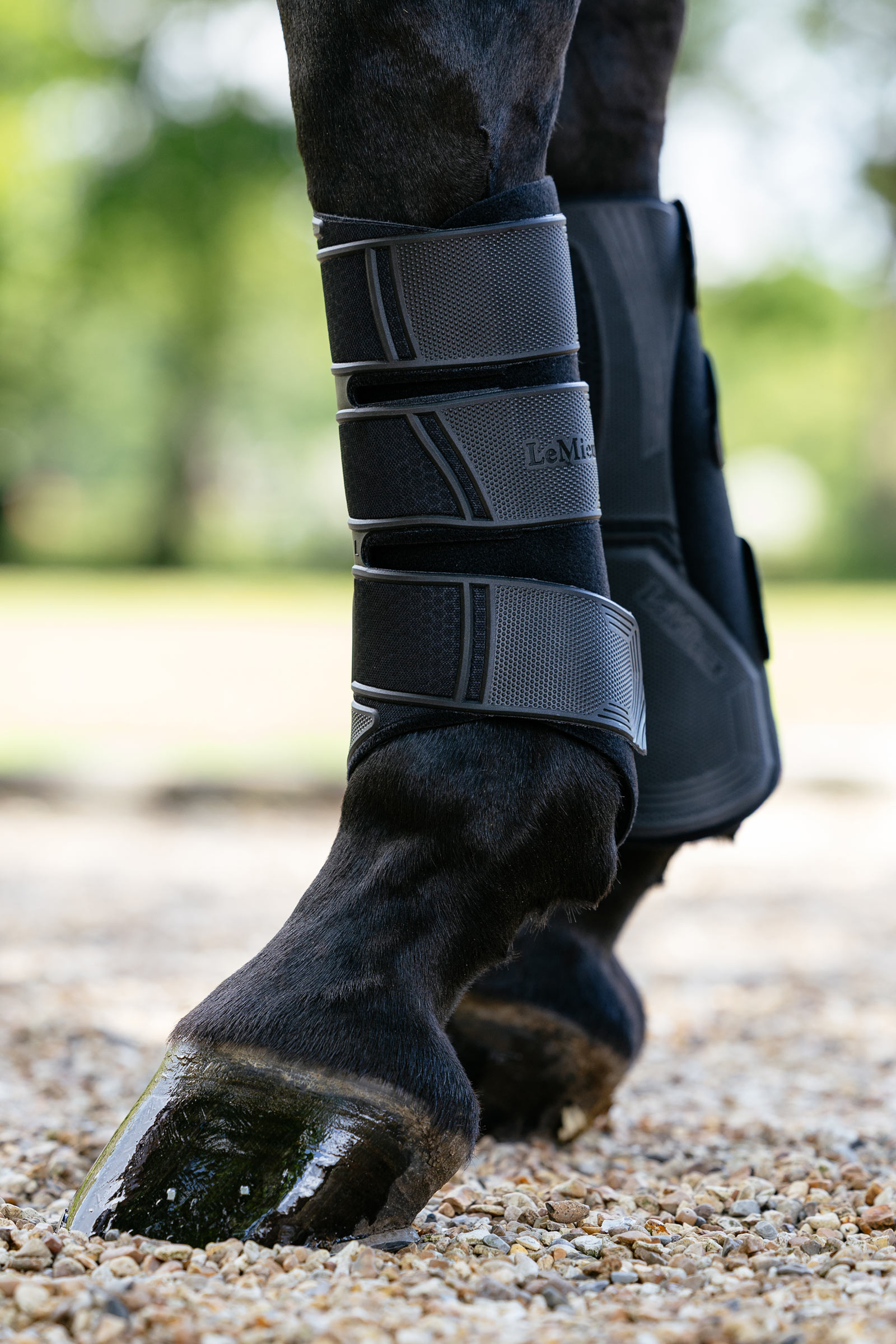 Black LeMieux Technical stryksokker