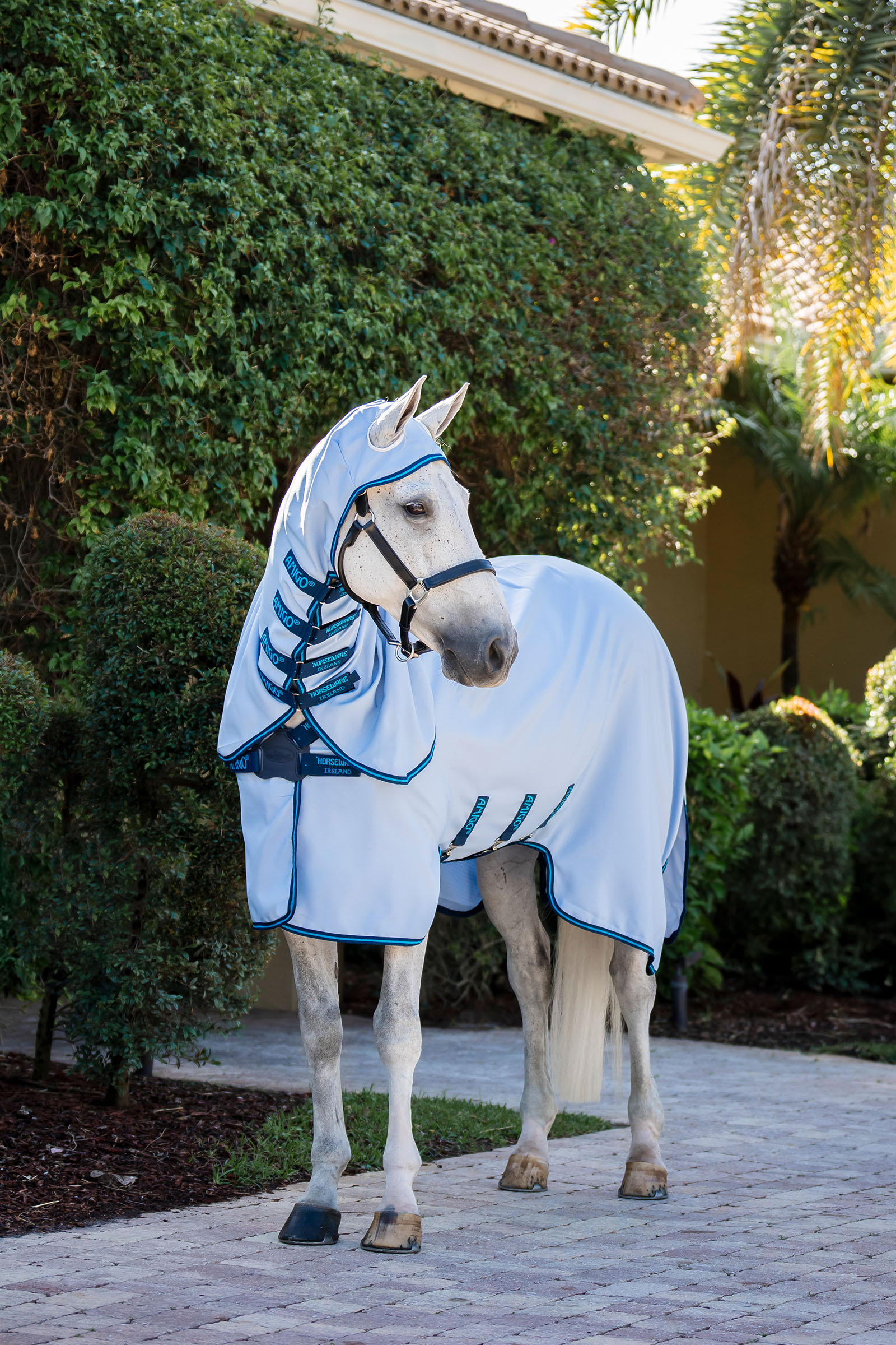 Azure Blue/Navy & Electric Blue Horseware Amigo Ripstop Fluedekken