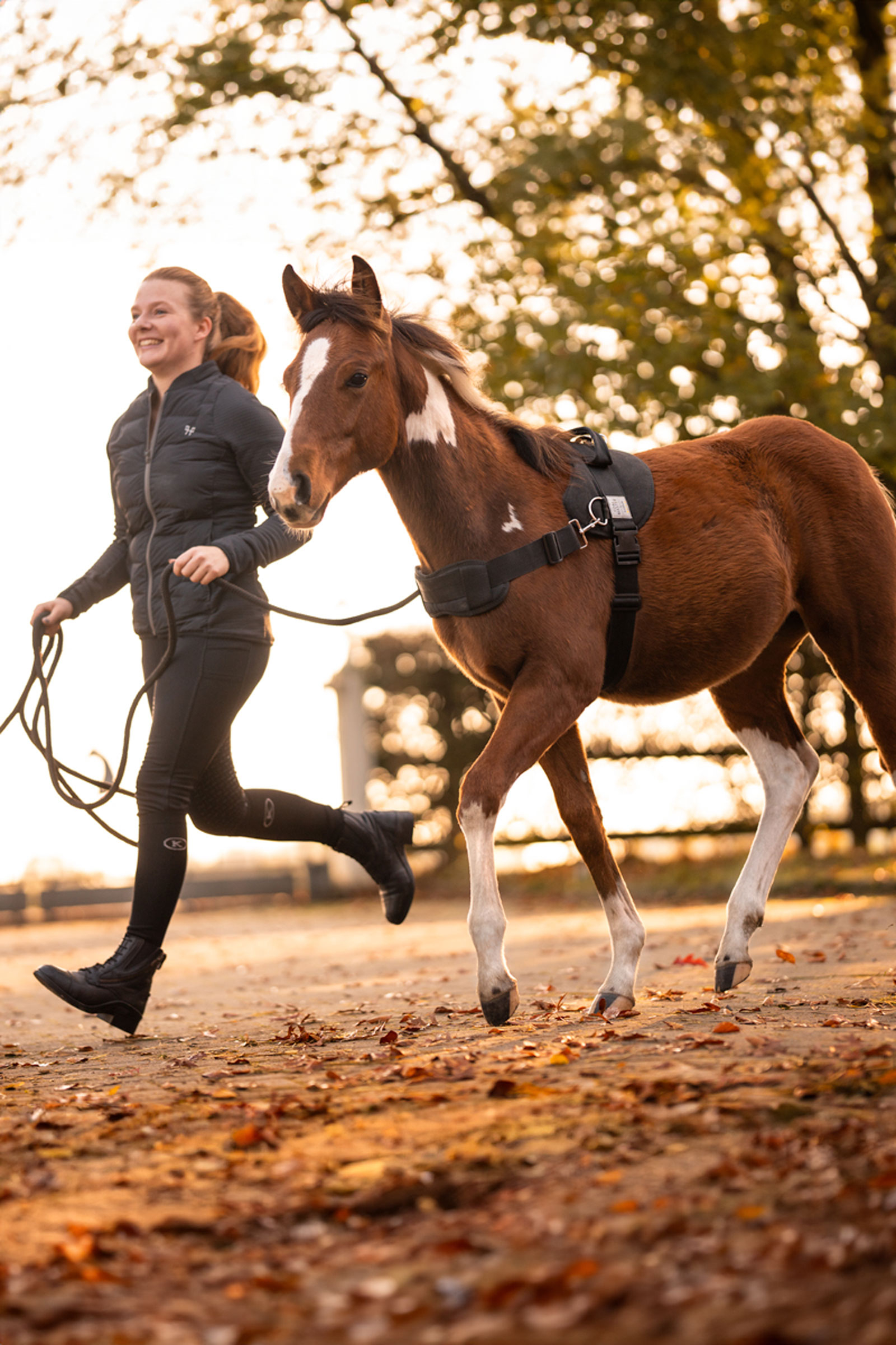Kavalkade Foalmaster føllseler med håndtak