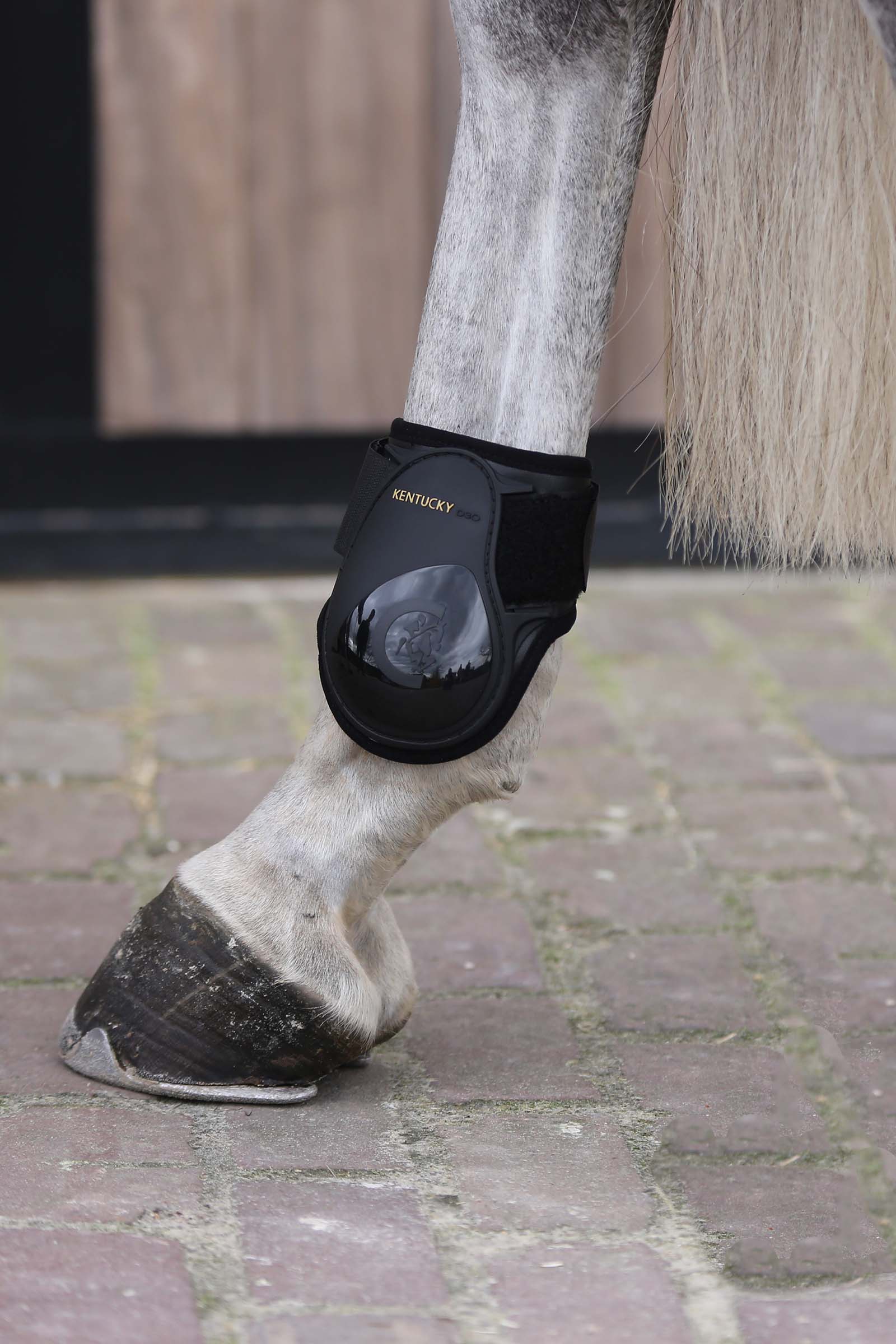 Kentucky Horsewear bakbeinsbelegg til unghest