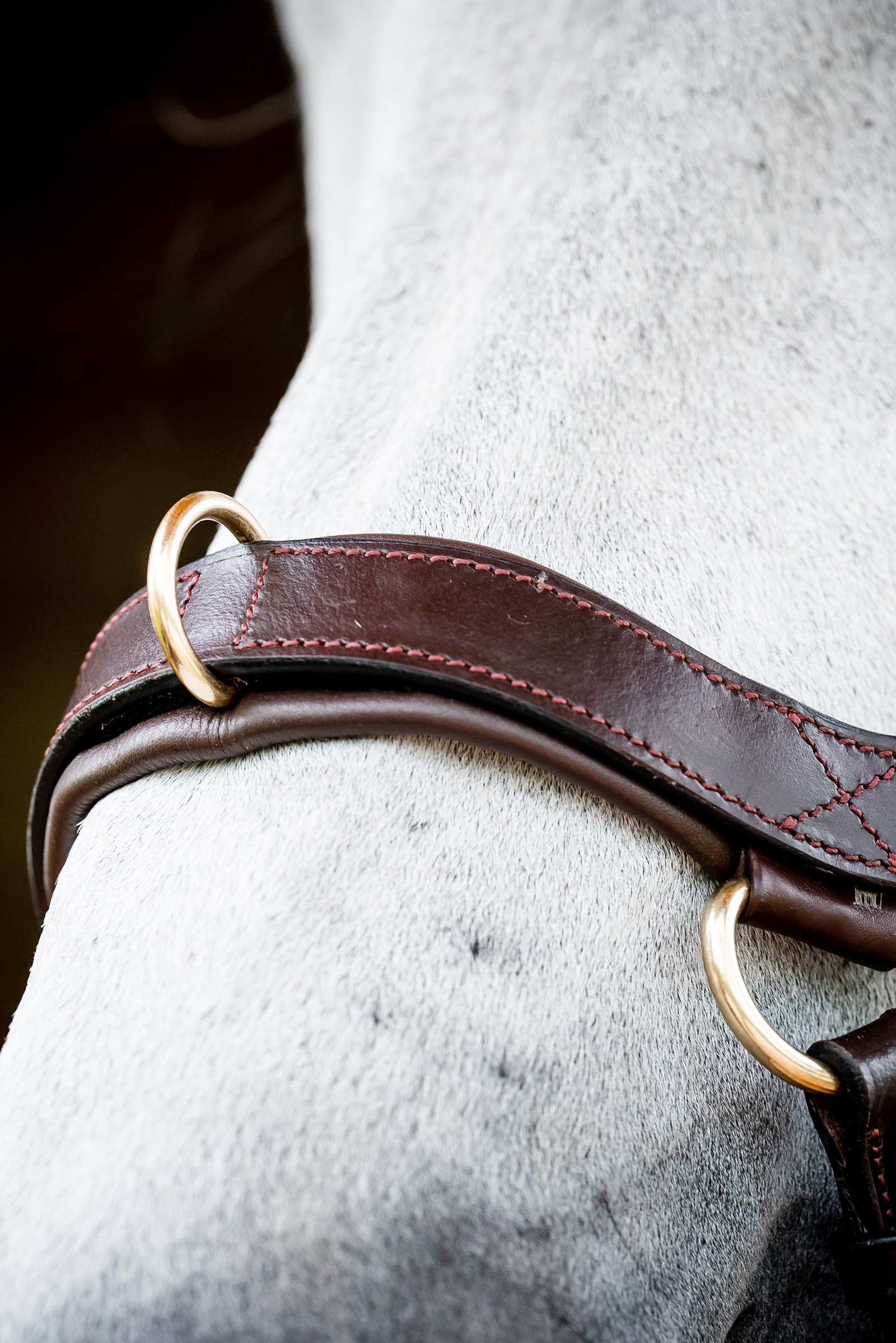 Horseware Micklem 2 Multi Hodelag