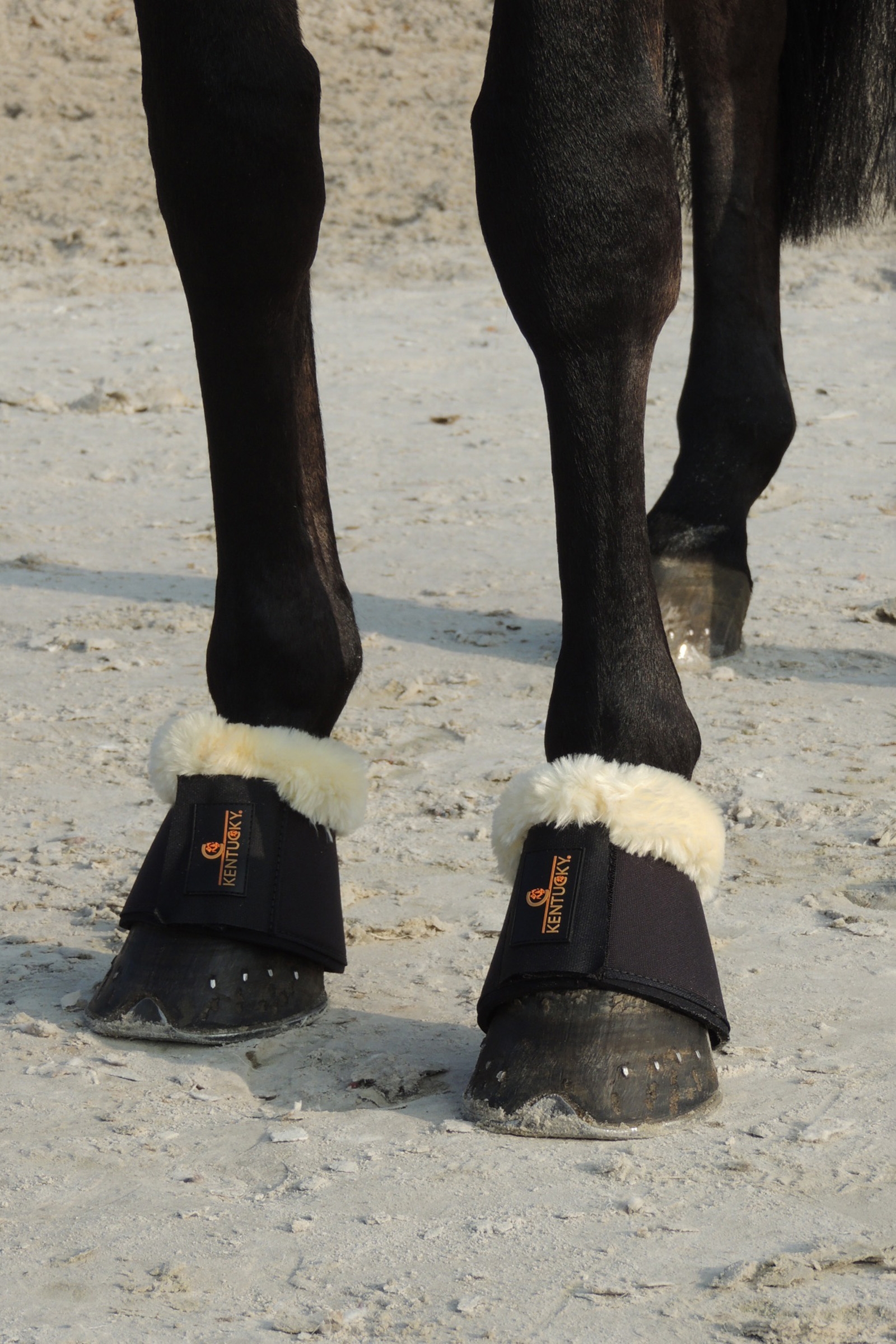Kentucky Horsewear saueskinn kopper