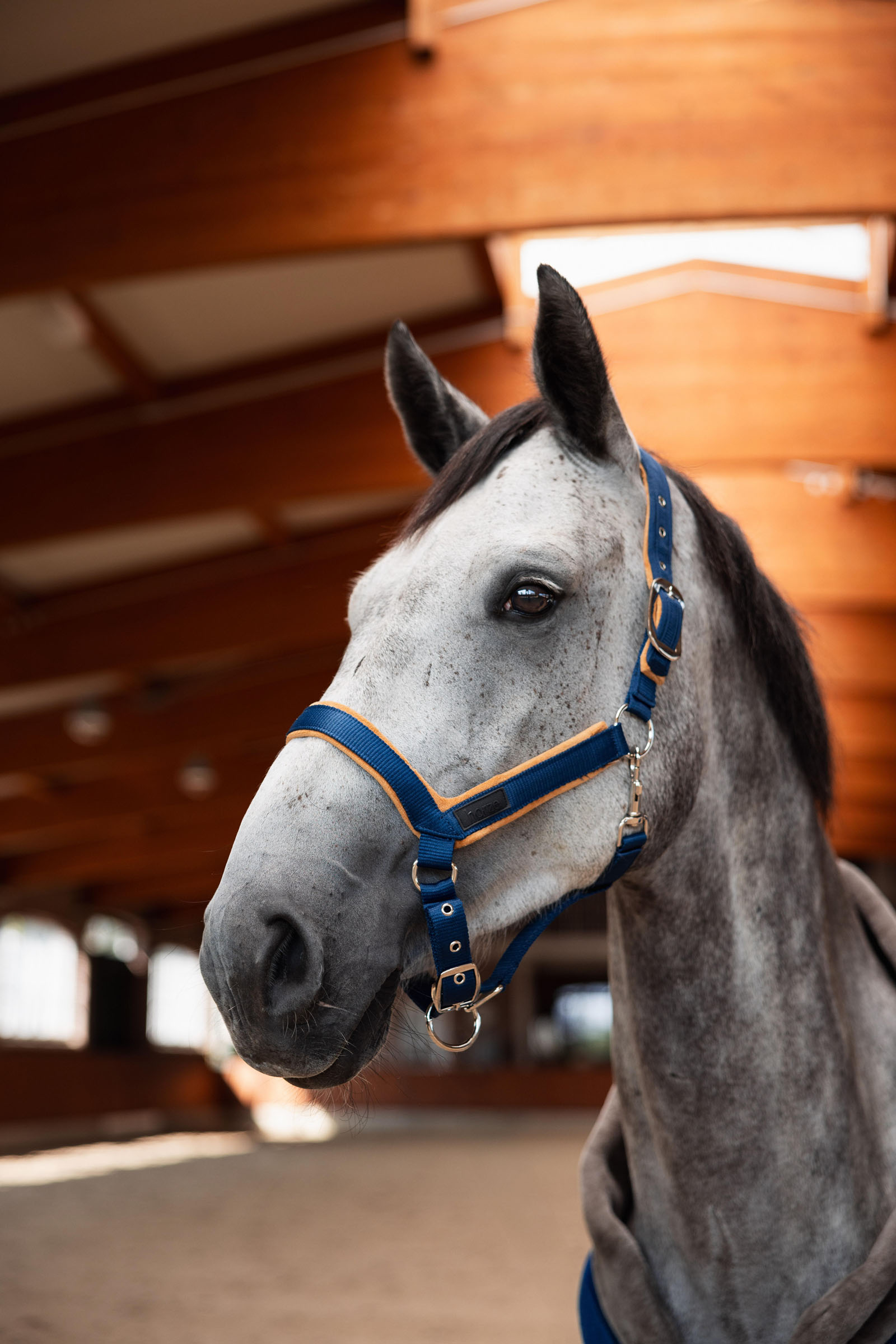 Horze Delémont grime