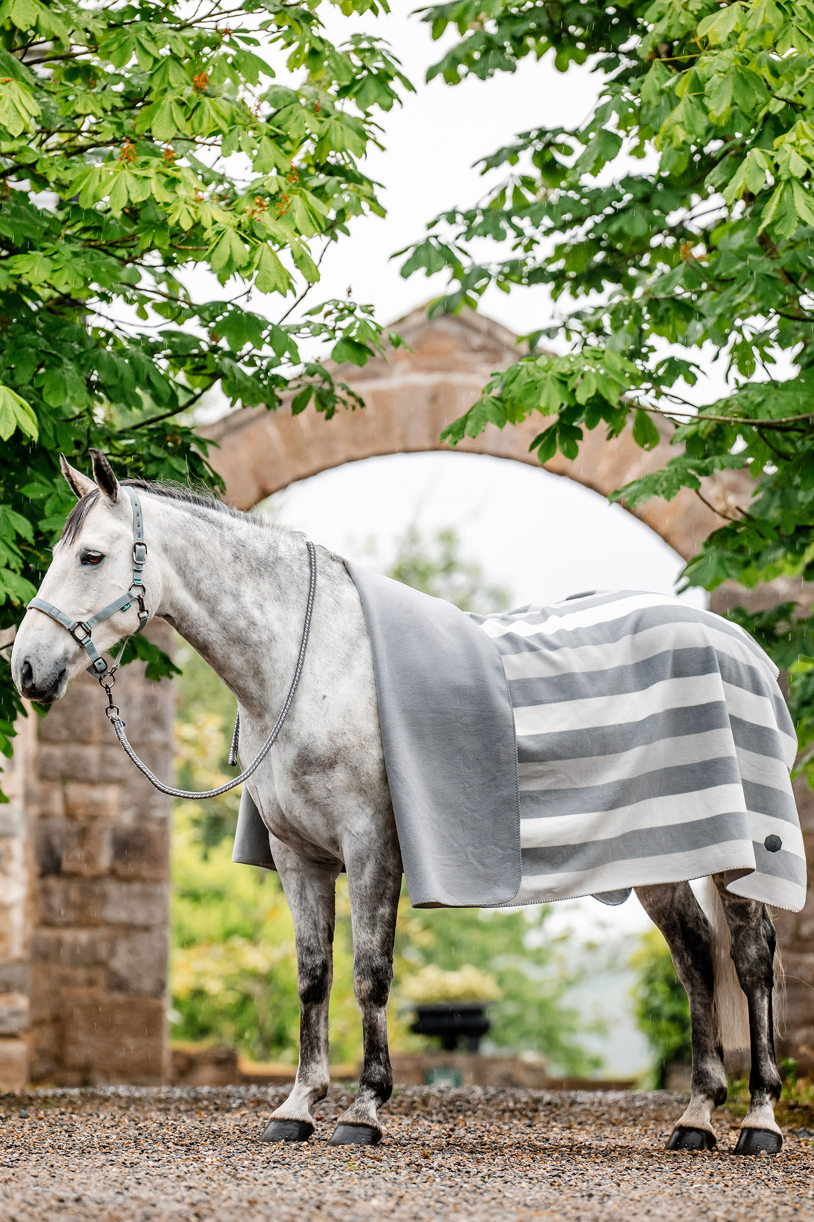 Witney Charcoal Horseware Newmarket Fleece Cooler-dekken (Square)