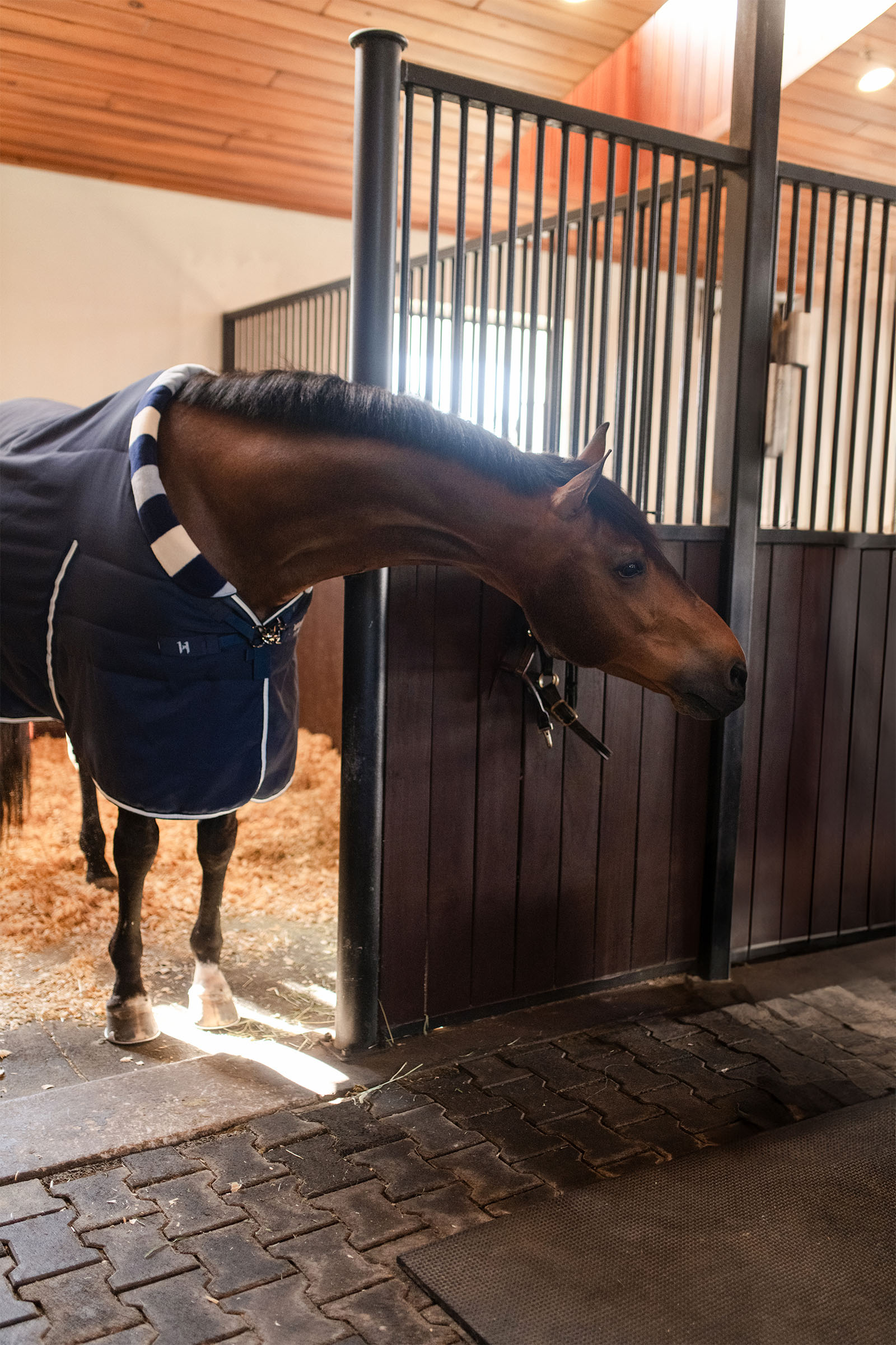Horseware Newmarket Cosy Stalldekken 100g