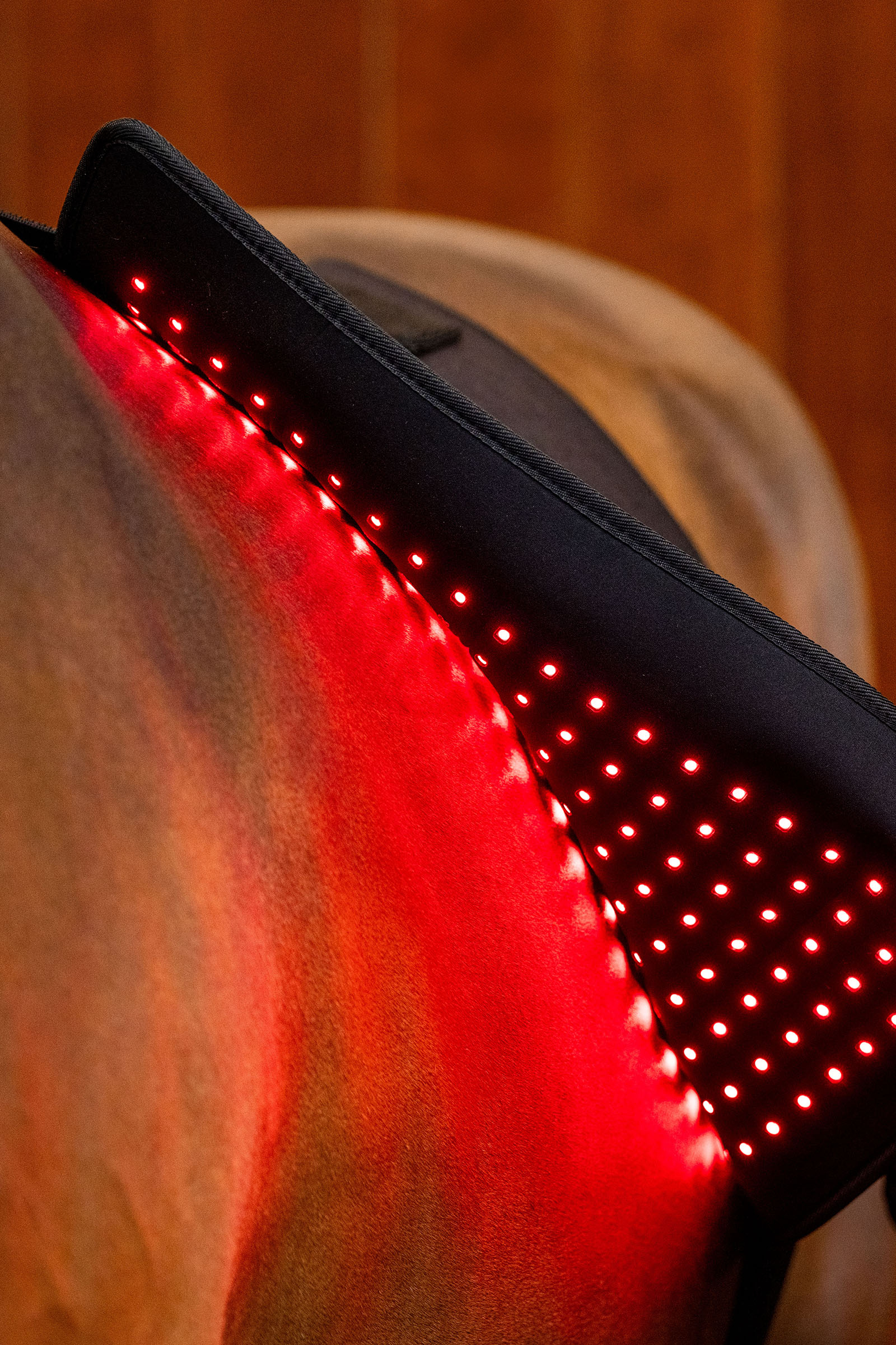 Horseware LED r&oslash;dt lys terapi Pad