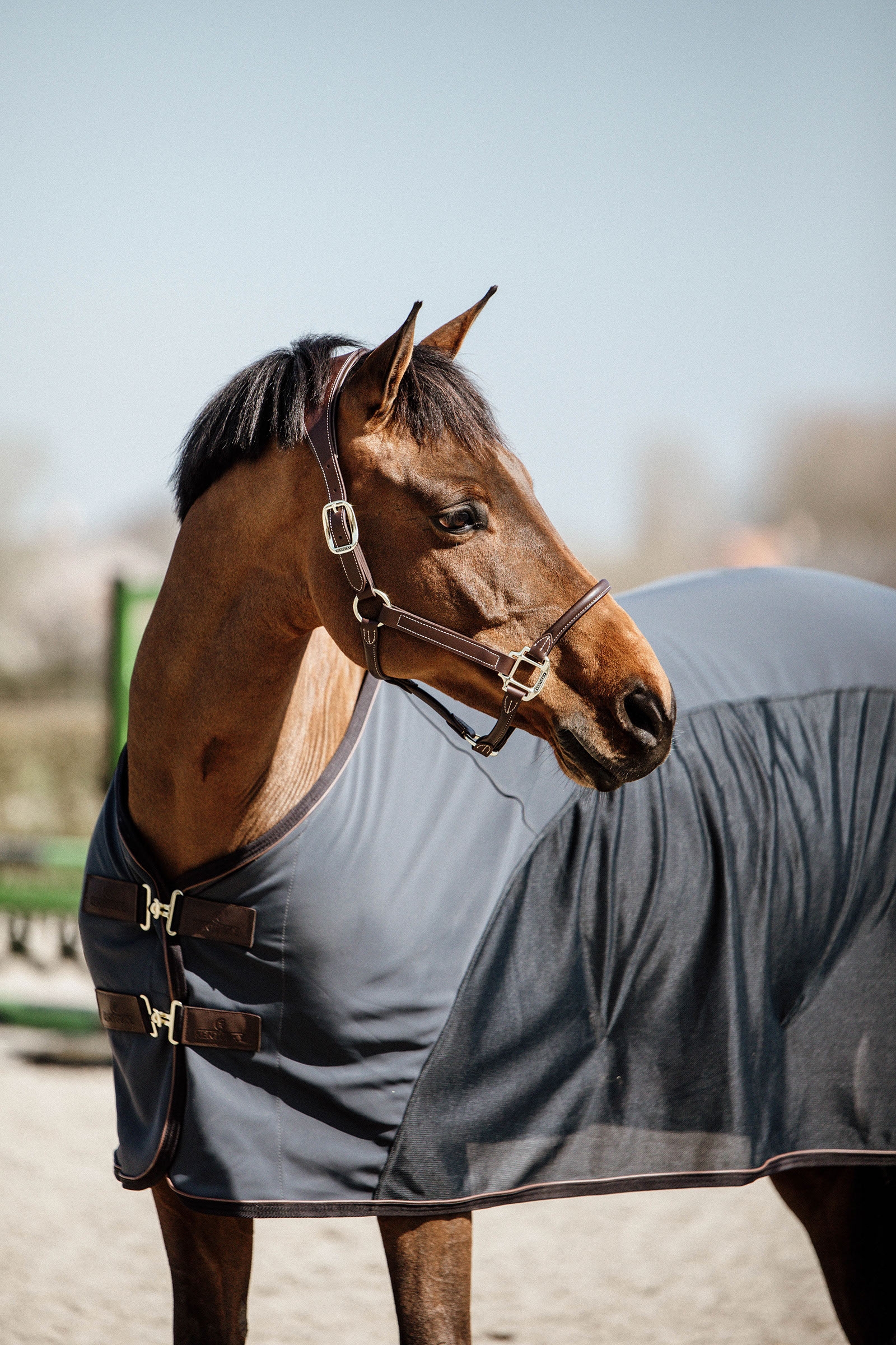 Kentucky Horsewear Cooler softshell dekken