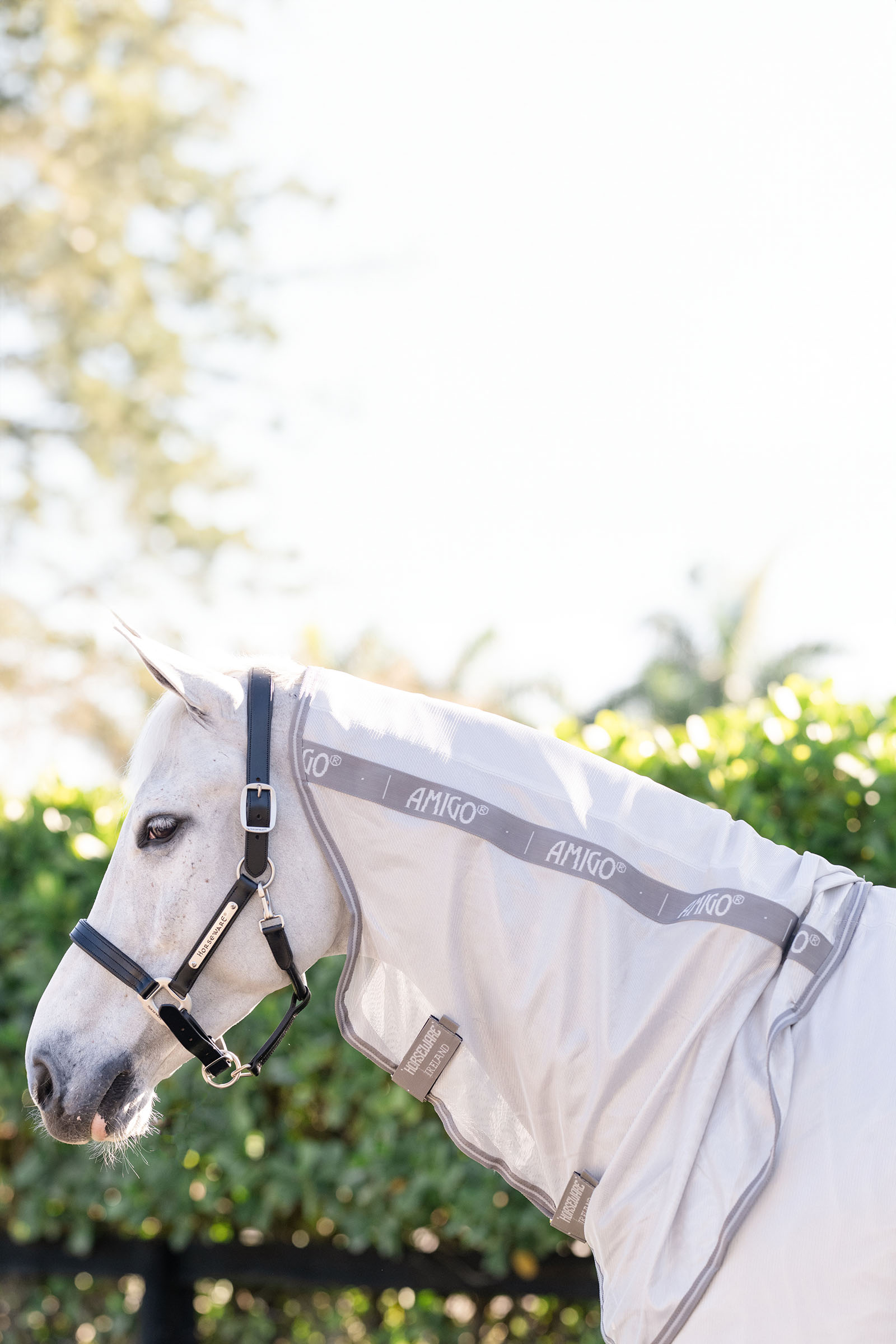 Horseware Amigo Integrert Fluedekken