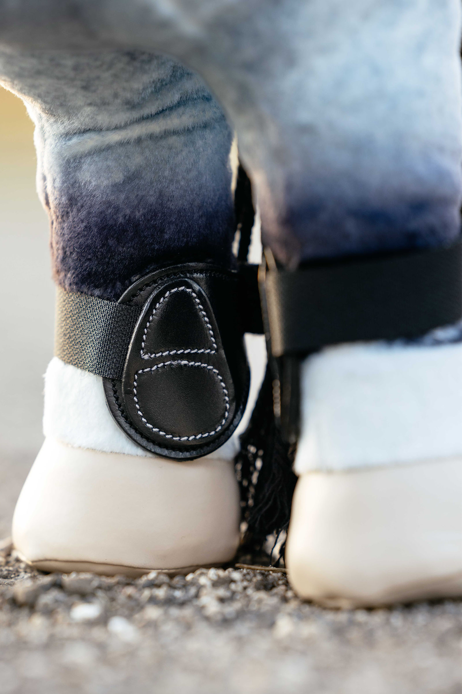 LeMieux Capella belegg for leke ponni