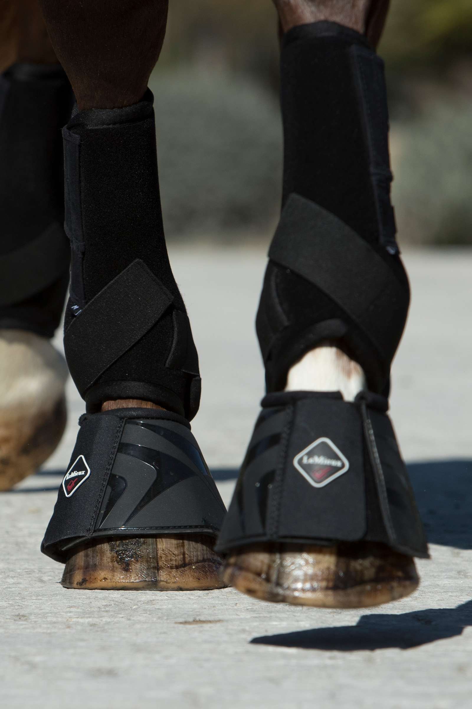 LeMieux Ultra Support Belegg