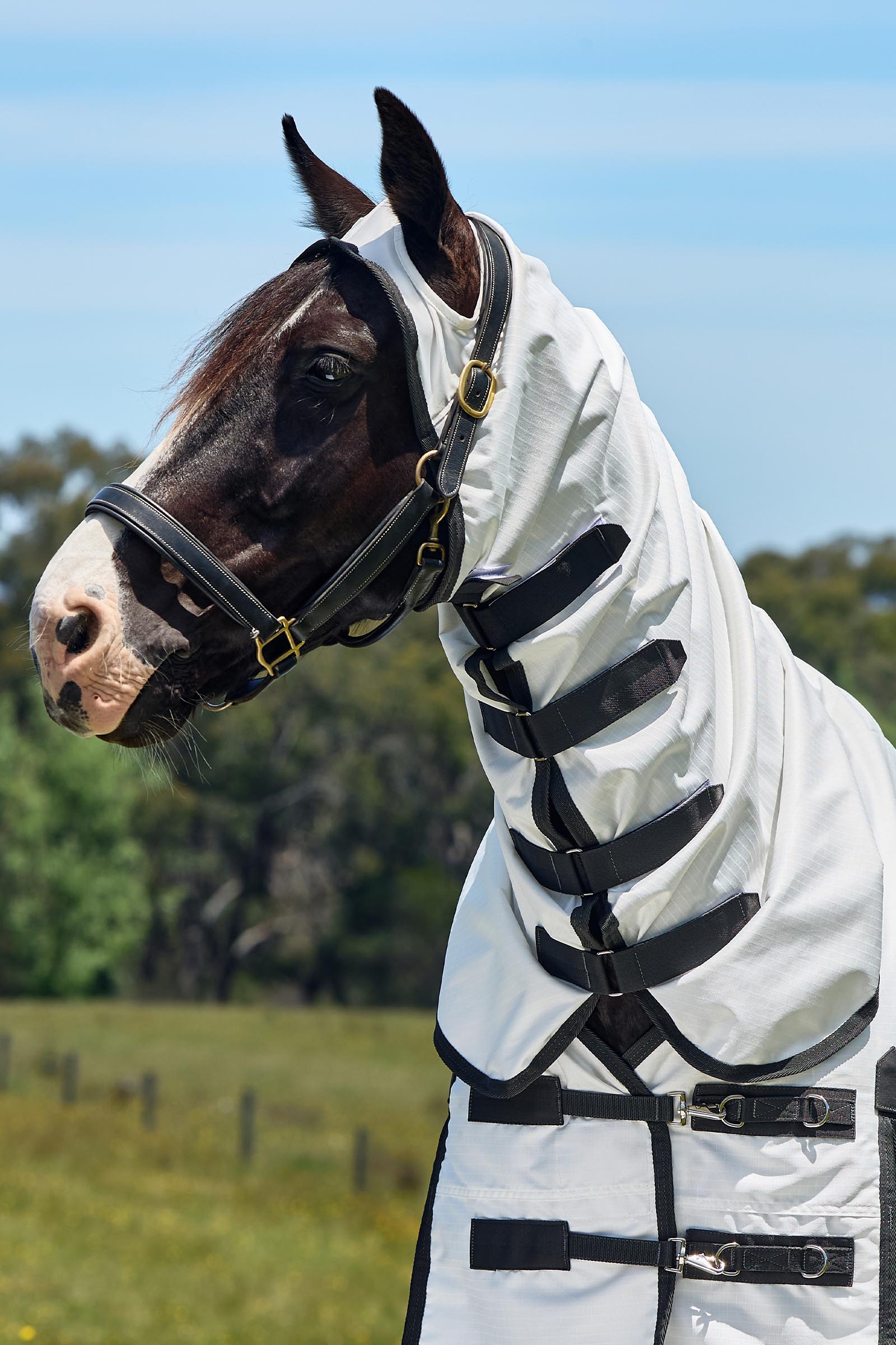 Weatherbeeta ComFiTec Sweet Itch Shield Fluedekken kombi med fast hals, 0 g  