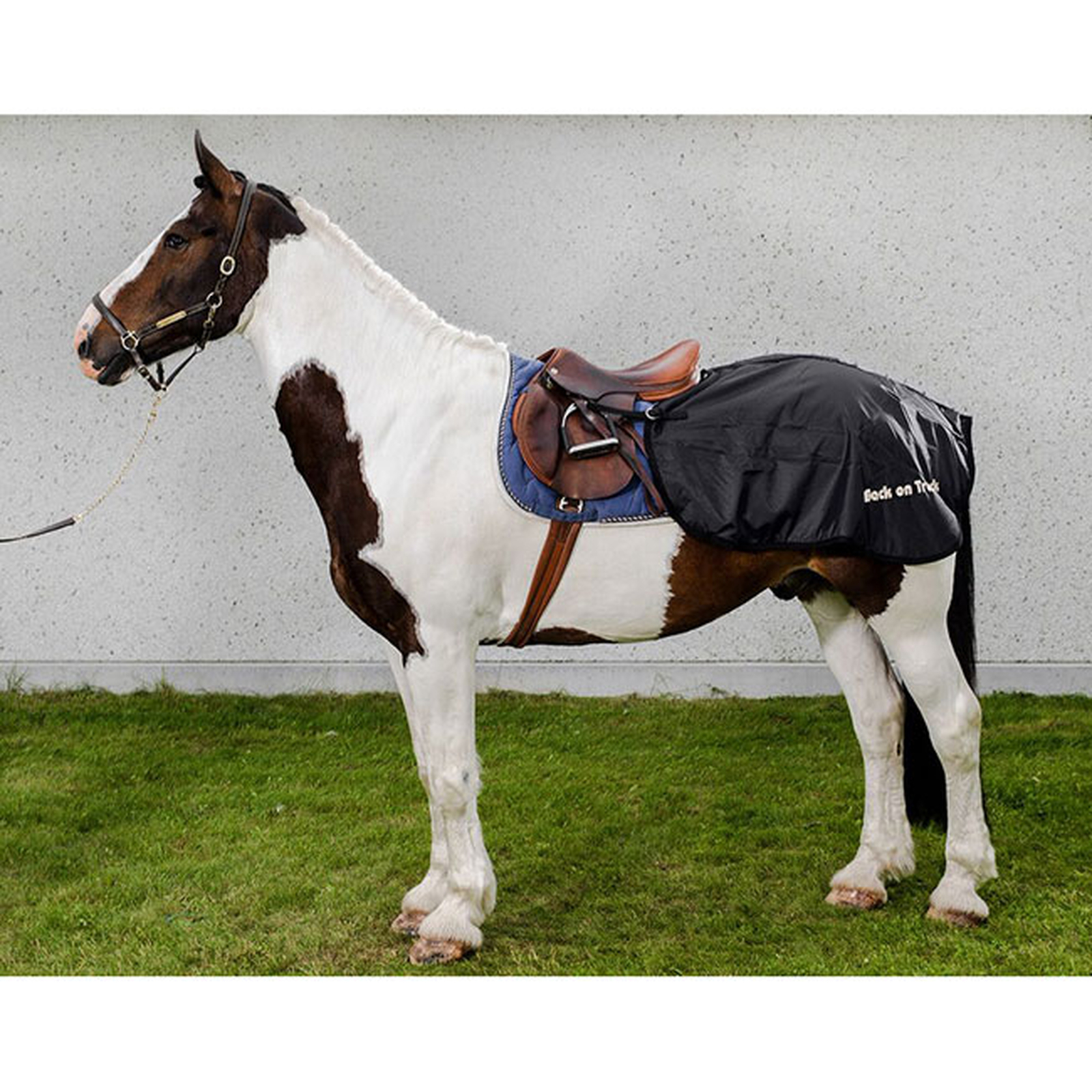 Back on Track ridedekken