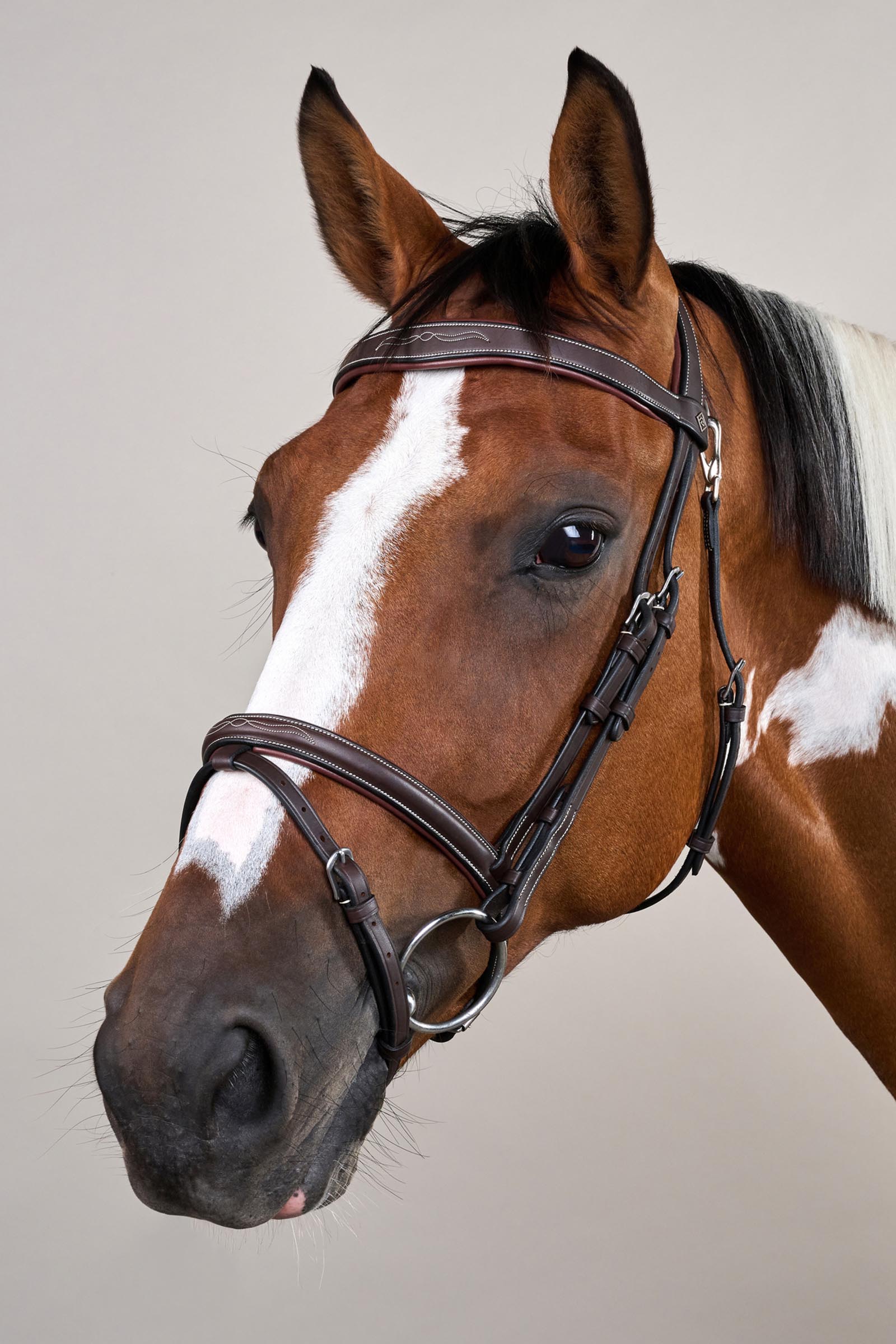 Dy'on Working hodelag med kombinert nesereim og karabinkroker  