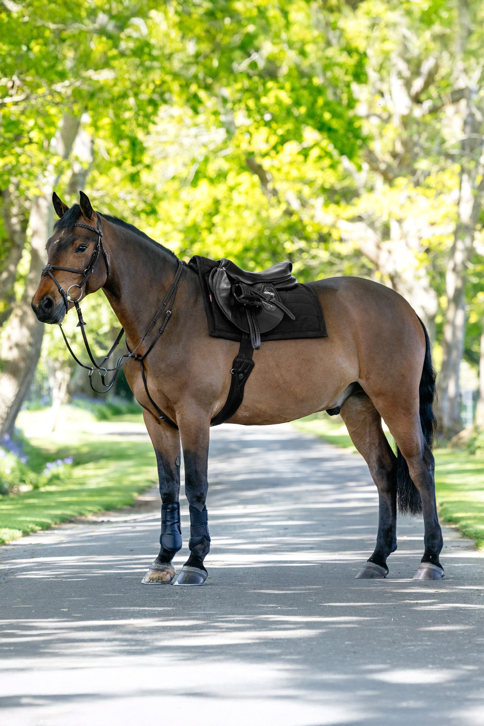 LeMieux Pillow vattert allroundsjabrak