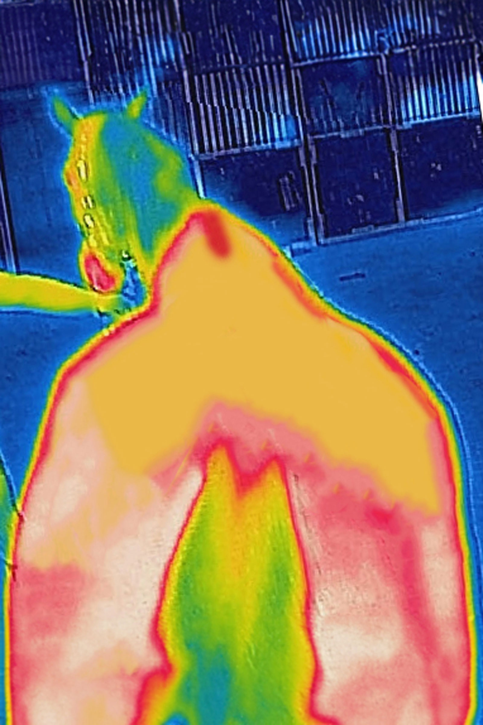 Bucas Therapy cooler-dekken, 0 g