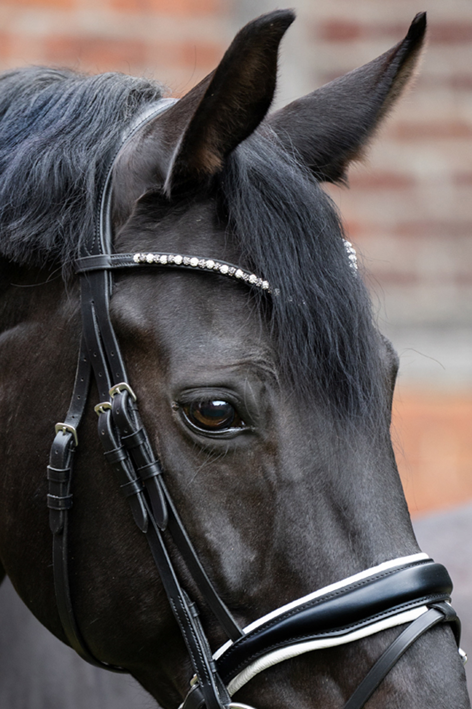 Kavalkade Pila pannebånd