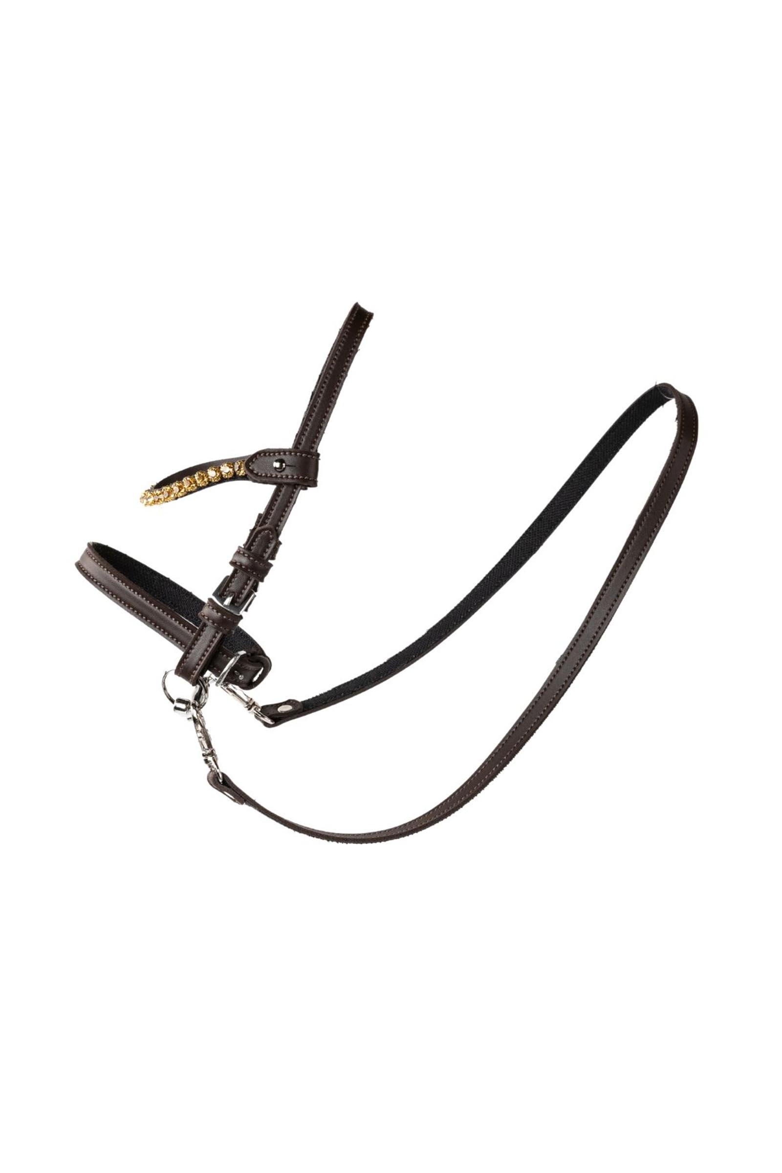 My Hobby Horse l&aelig;rhodelag med steiner