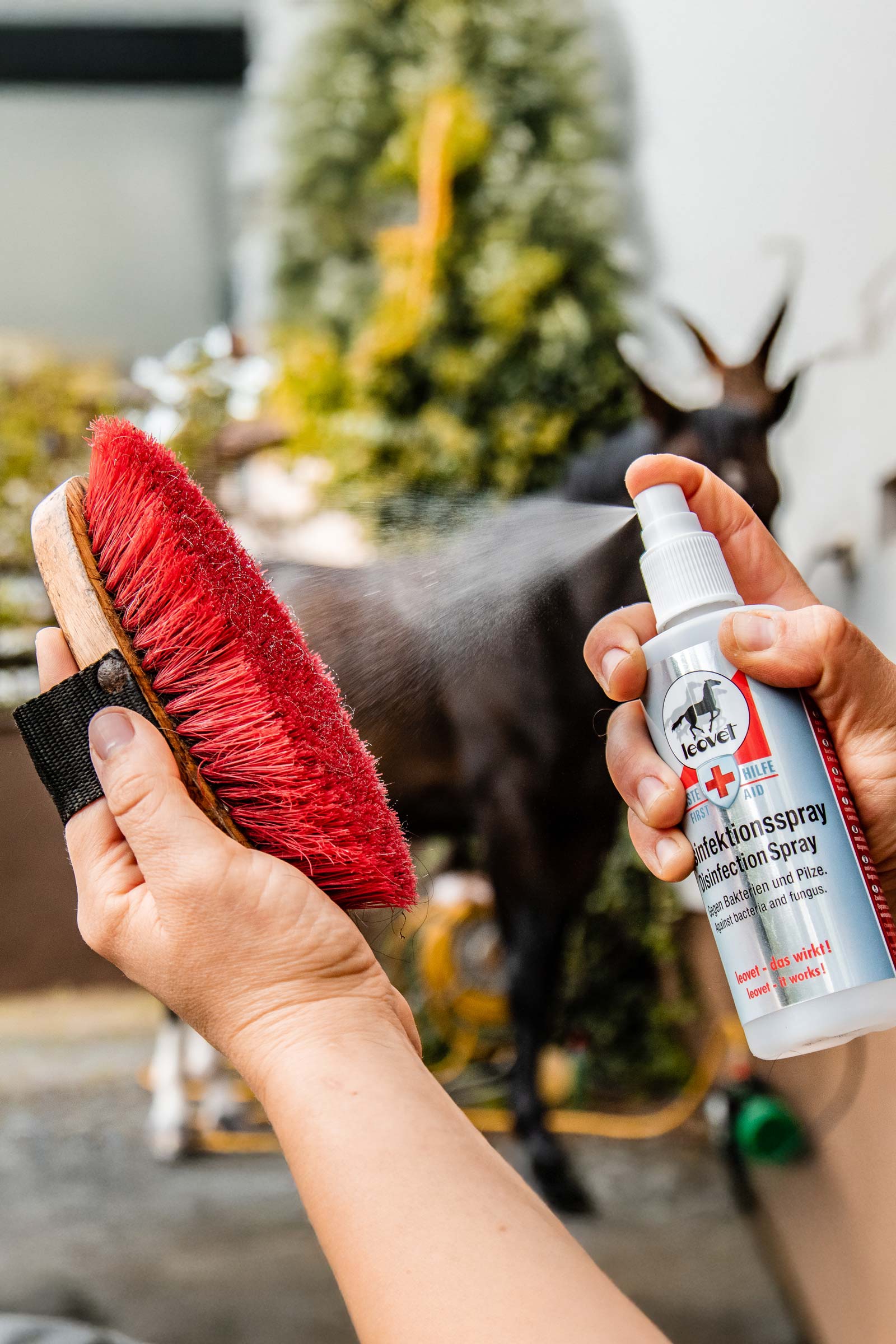 Leovet desinfeksjonsspray