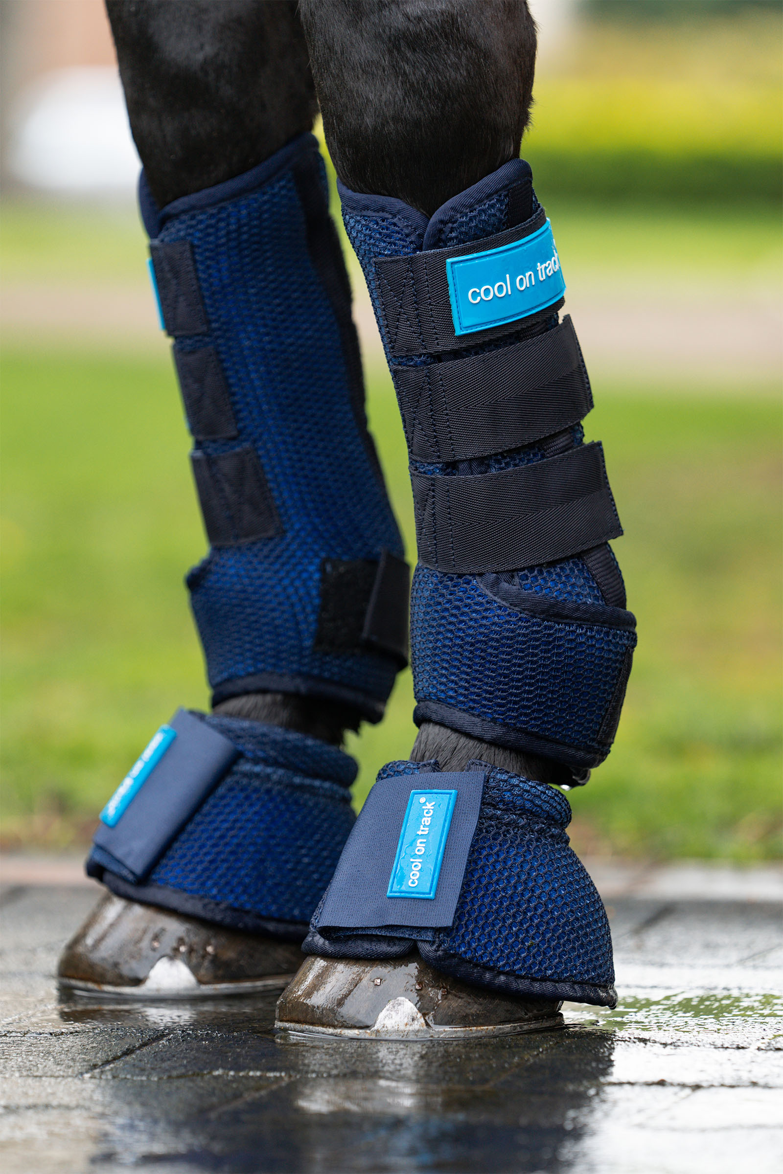 Back on Track Cool on Track belegg