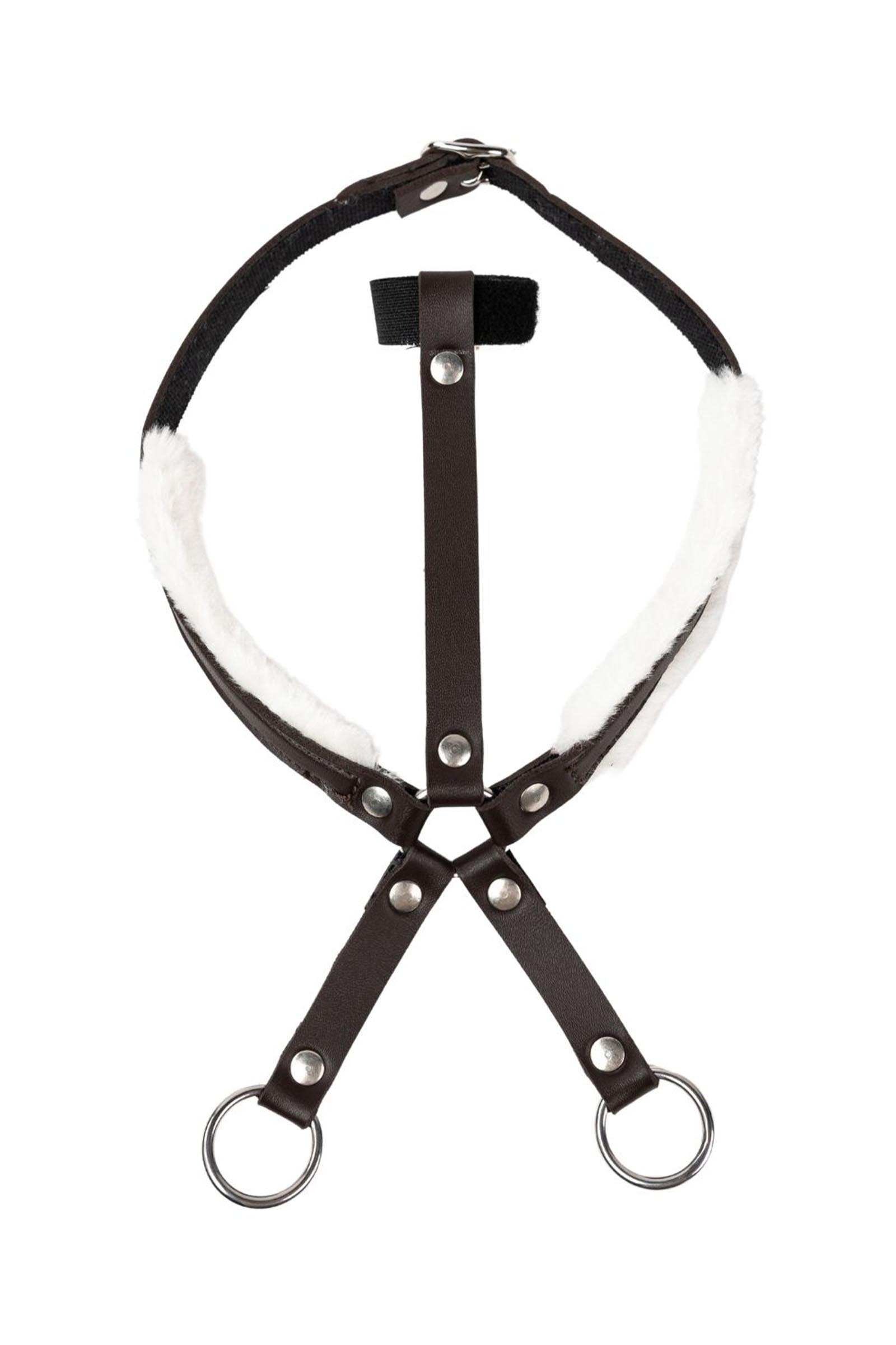 My Hobby Horse martingal