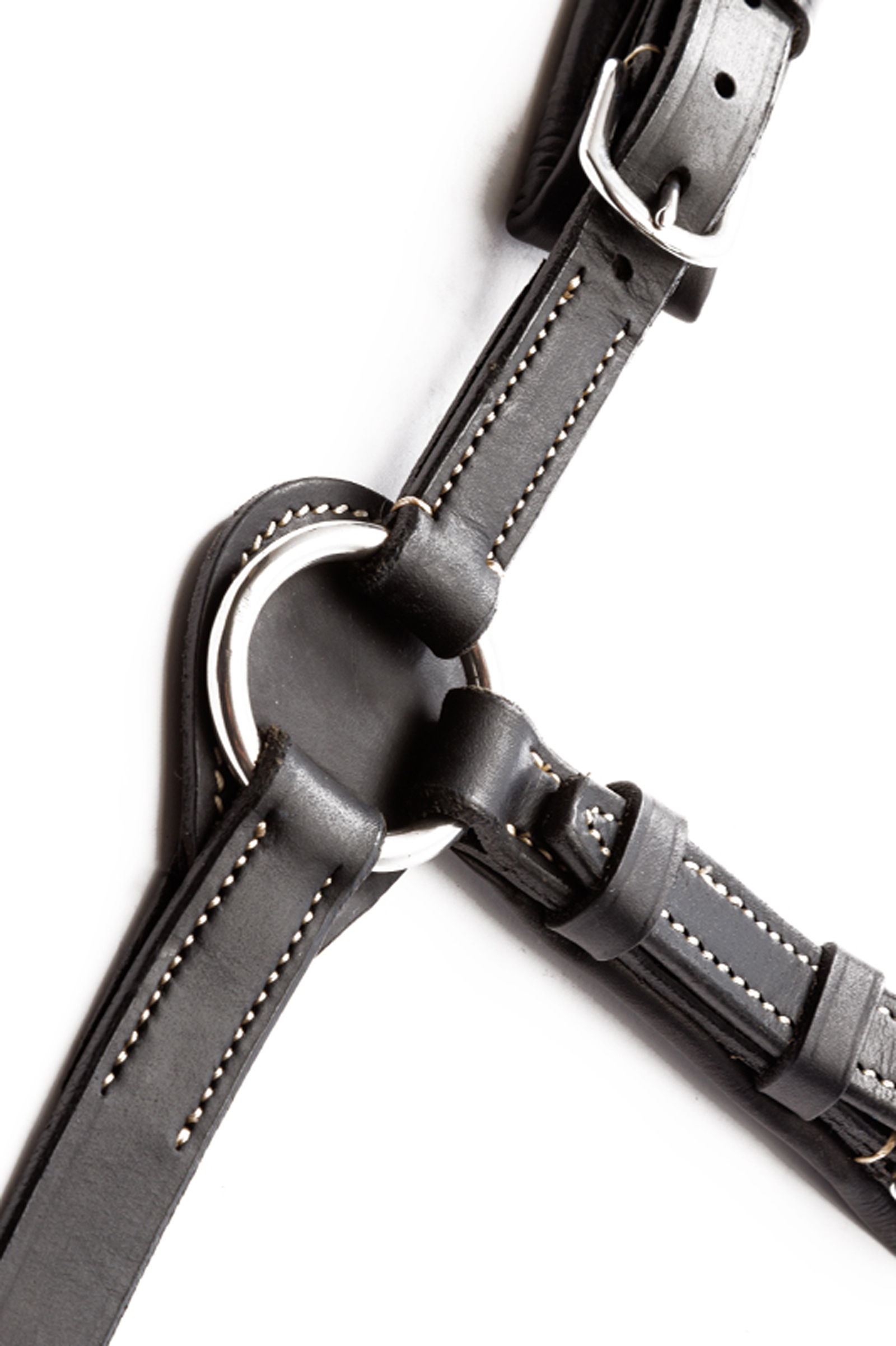 Kavalkade Jerome 2-punkts Brystplate