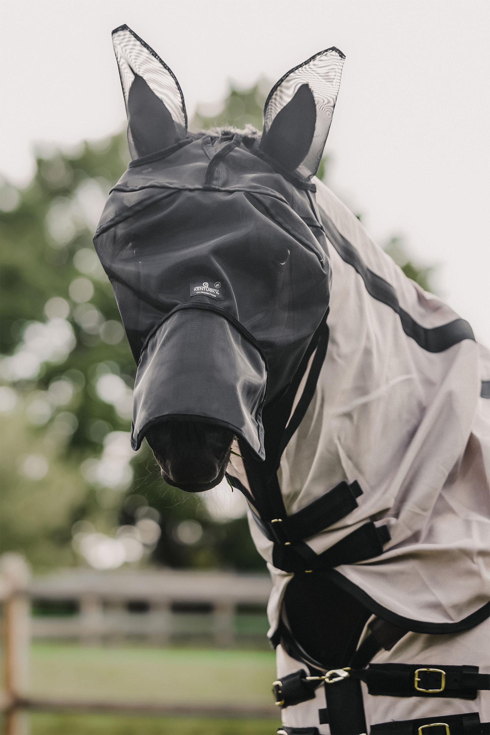 Black Kentucky Horsewear Classic fluemaske med ører og nesebeskytter