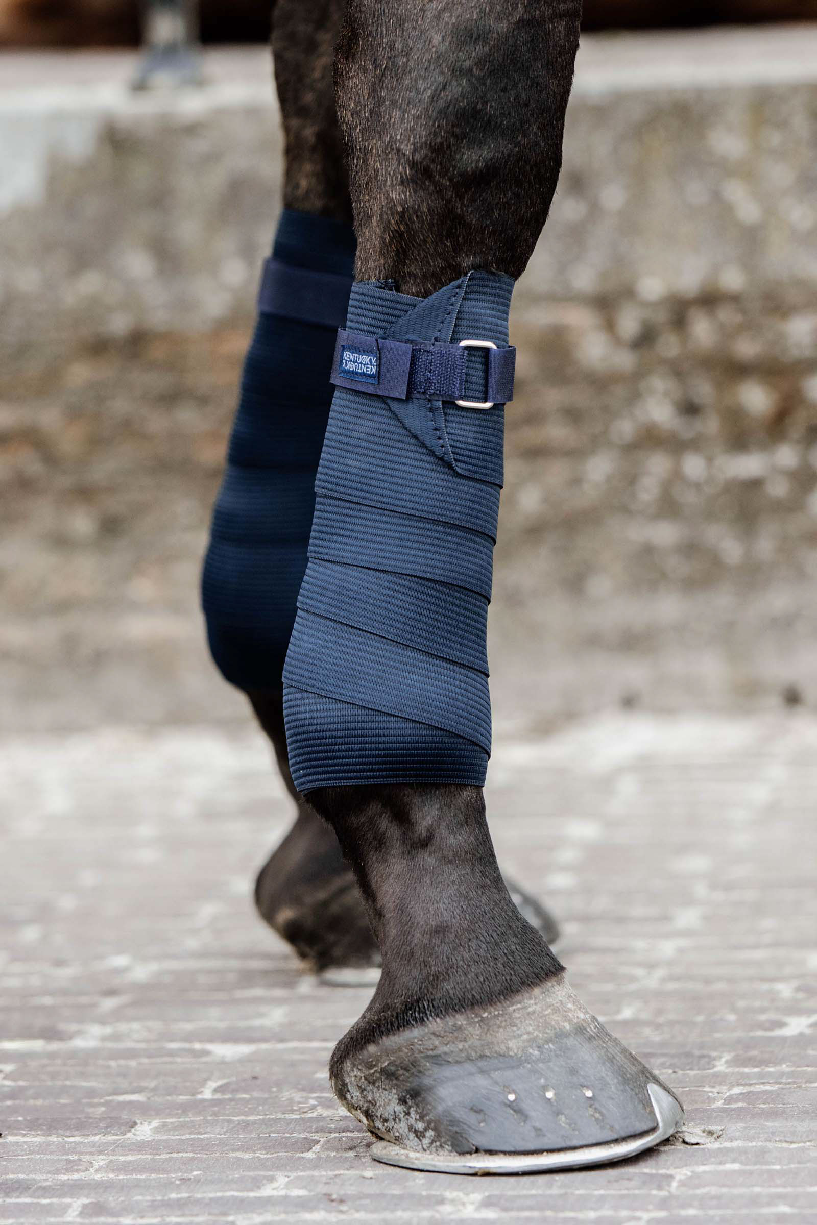 DB/AB Kentucky Horsewear fleece & elastisk bandasje
