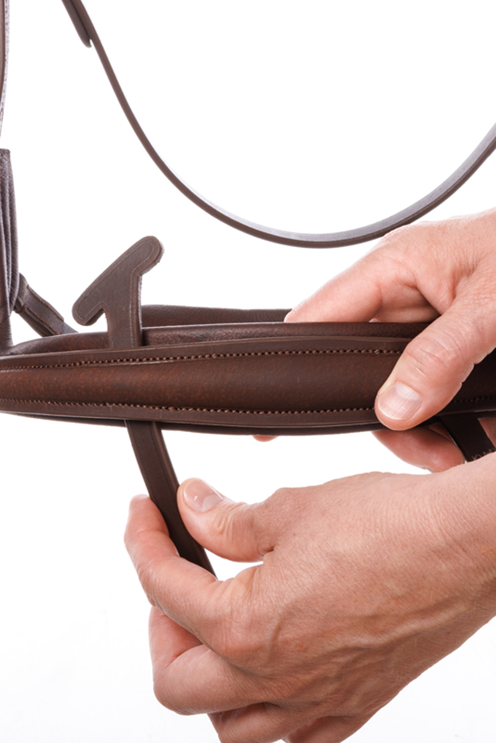 Kavalkade Caliano Engelsk Trense