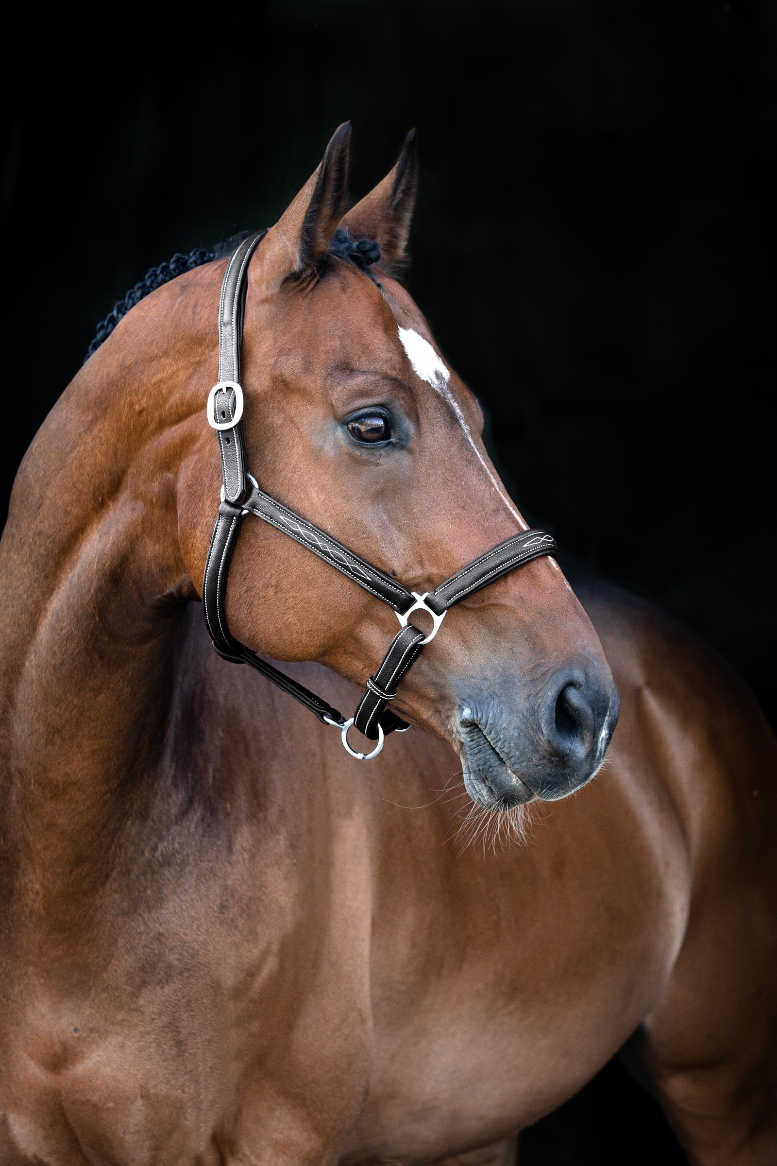 Horze Warren myk lærgrime