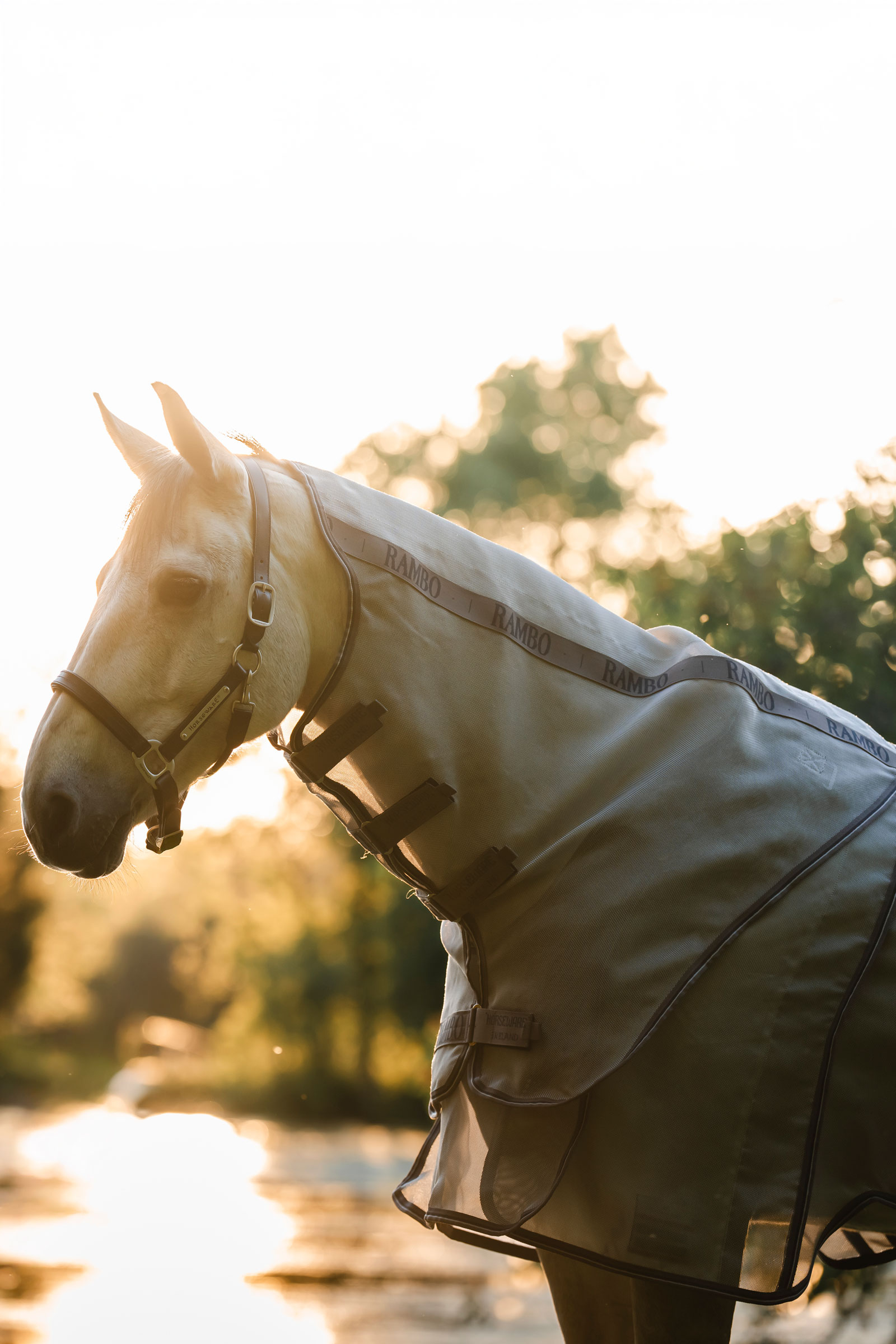 Horseware Rambo Optimo Protector Plus dekken