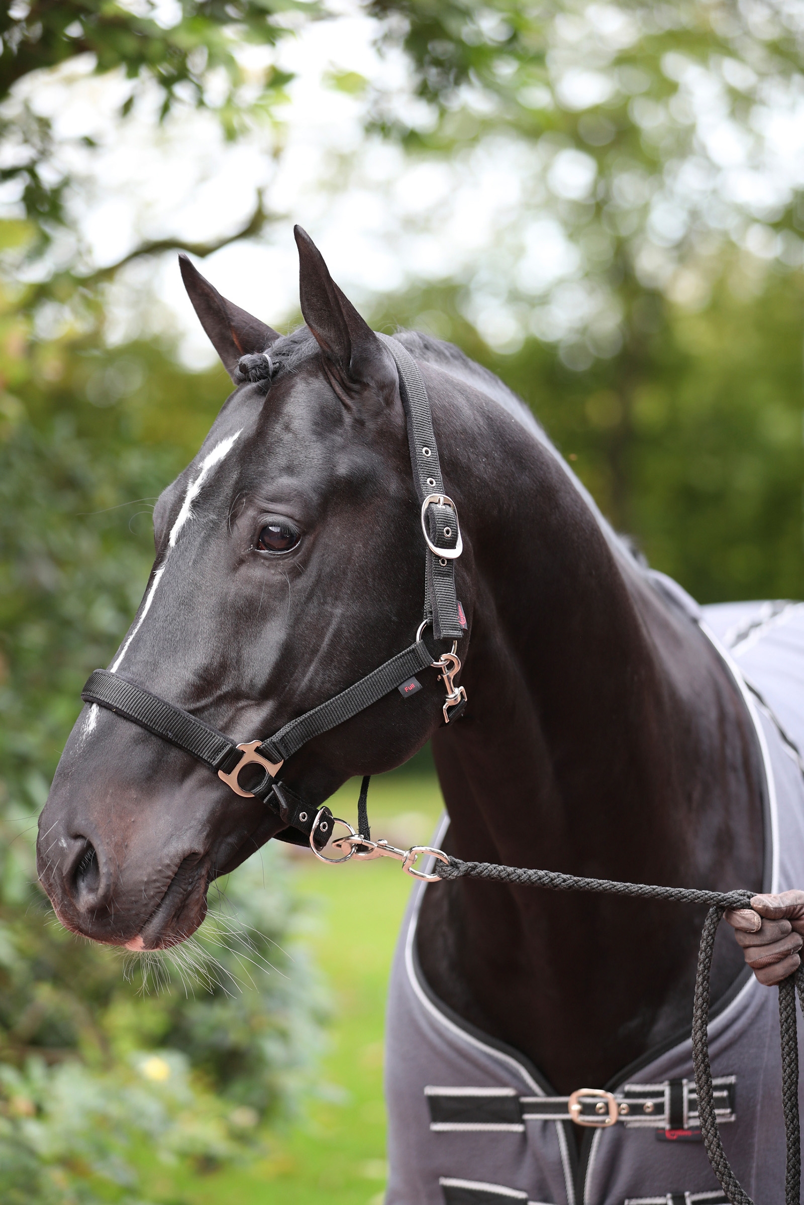 Covalliero Dexter grime med fleecefôring