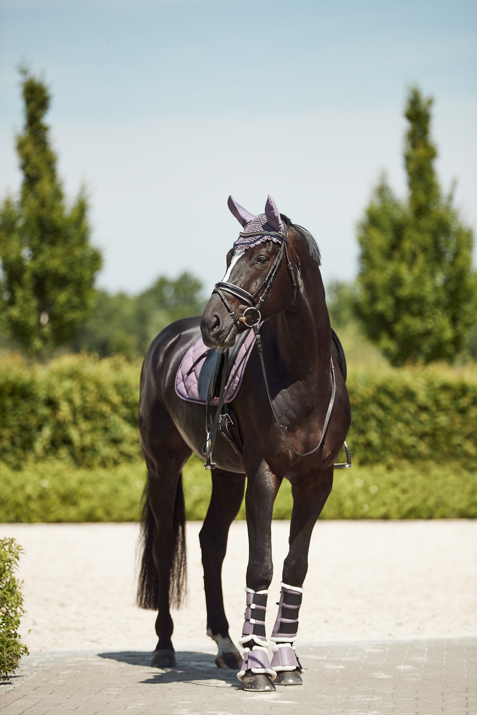Horze Ghent stryksokker med fuskepels