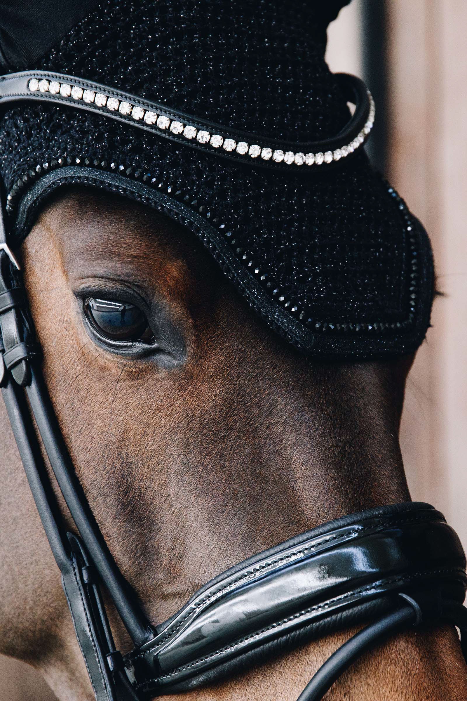 Kentucky Horsewear Wellington ørehette med glitter