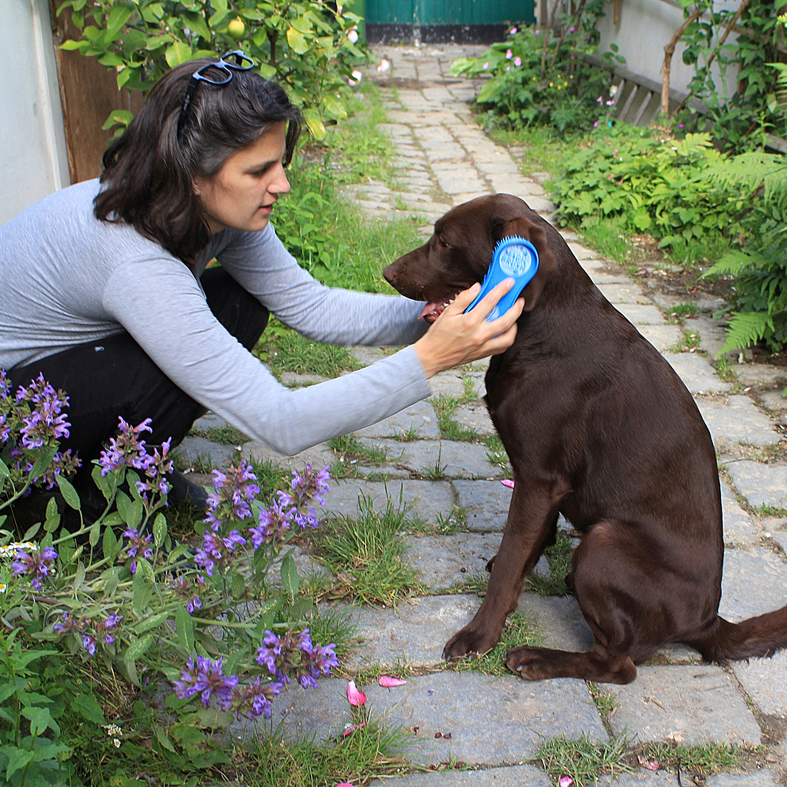 Kerbl Magic Brush, hund