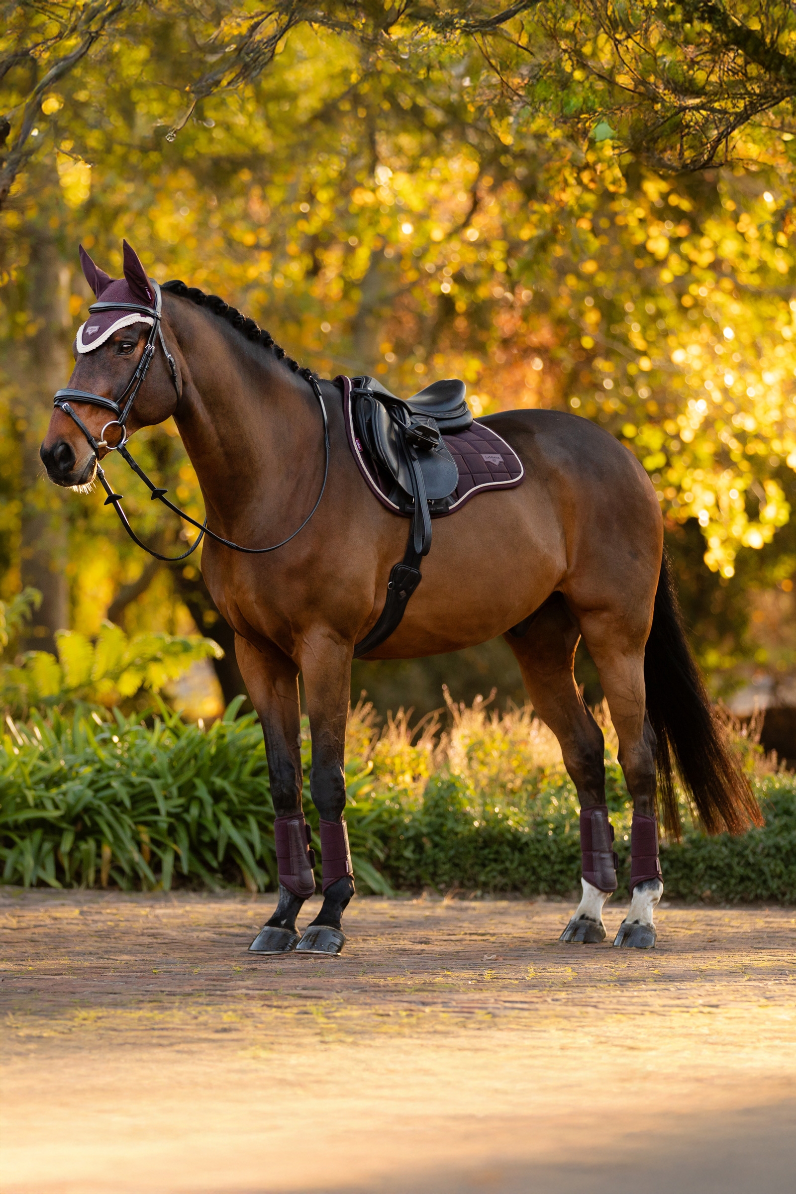 LeMieux Loire klassisk firkantet allround salunderlag