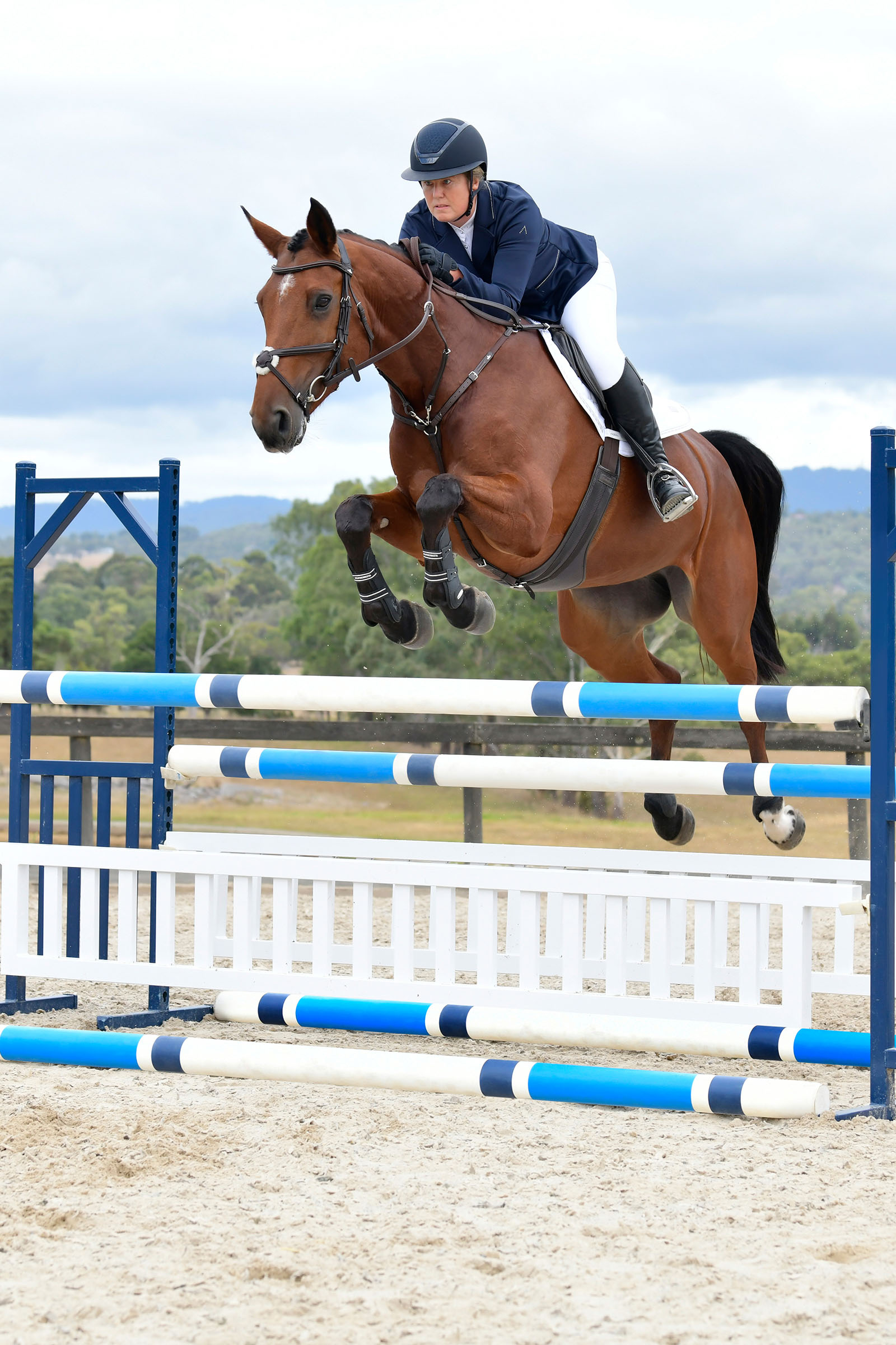 Collegiate Comfitec Opulux enkel, polstret hodelag med mexikansk nesereim