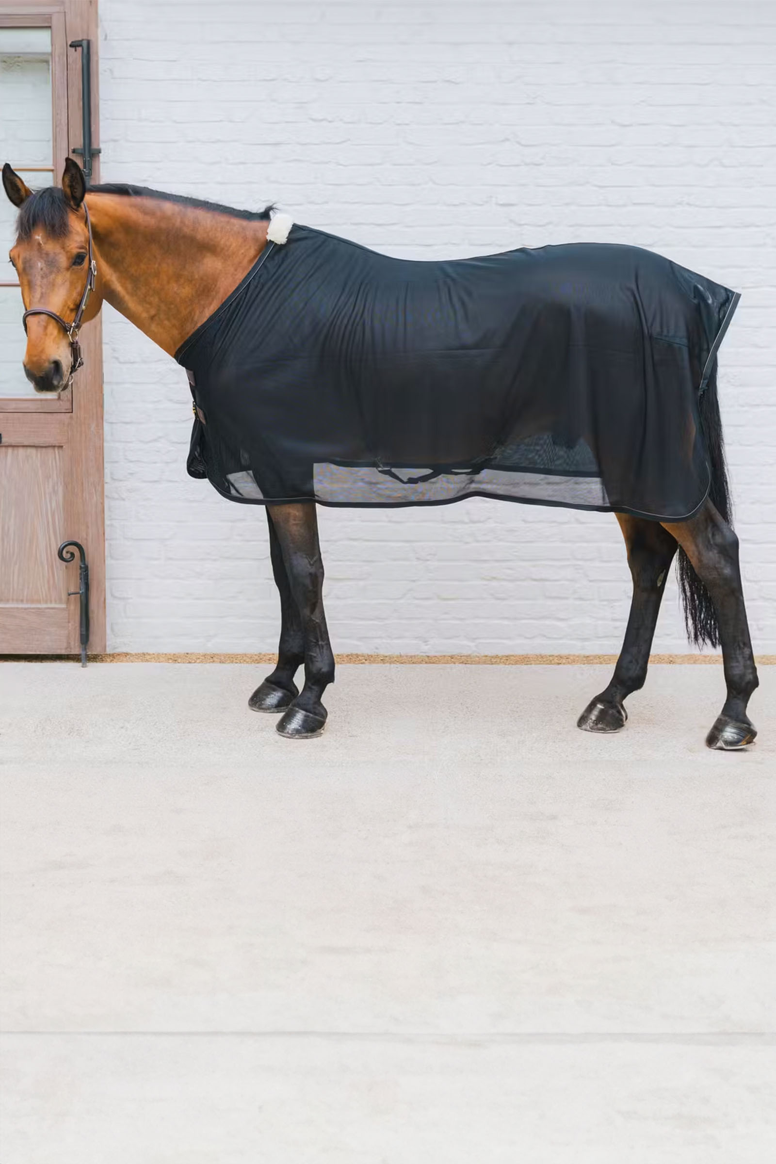 Kentucky Horsewear flueteppe i mesh