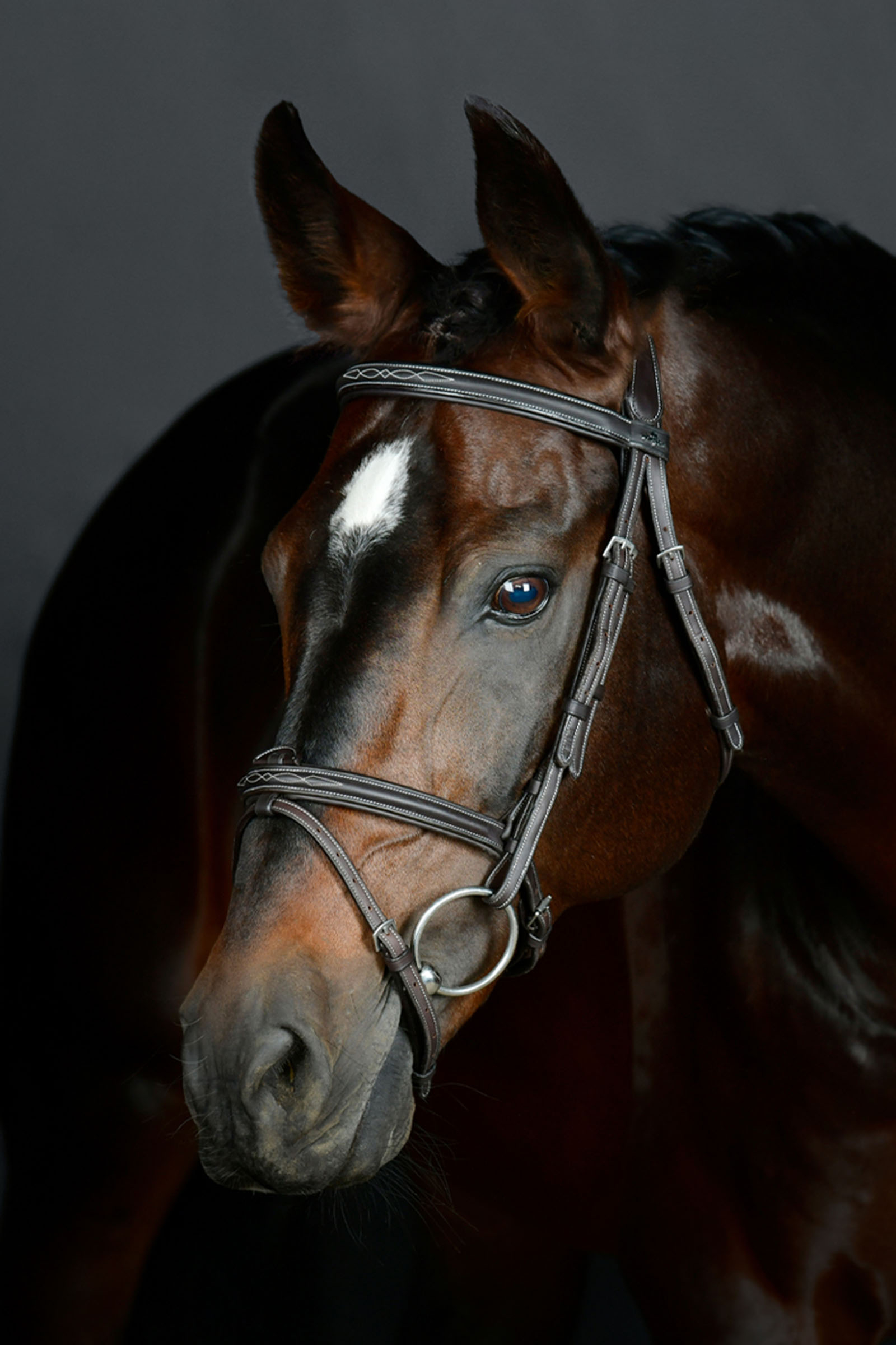 Collegiate Comfitec Opulux Fancy Stitch polstret hannoveransk hodelag