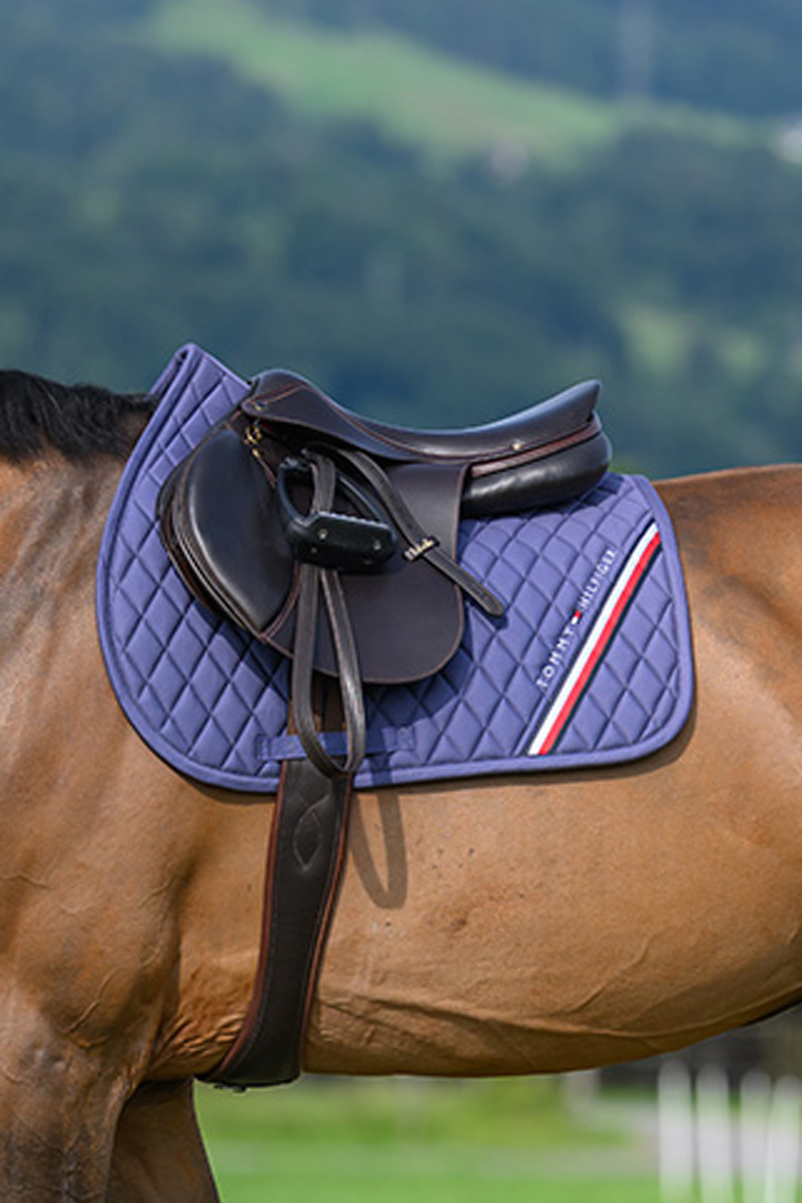 Tommy Hilfiger Equestrian Stanford sprangsjabrak